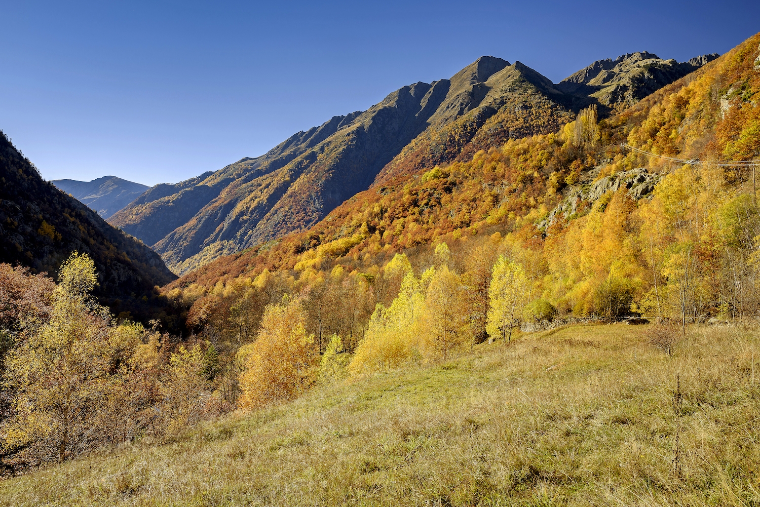 Aigües avall, la Noguera de Cardós esculpeix una vall que travessa el terme de Lladorre i que a la tardor llueix les m il 5 lors gales