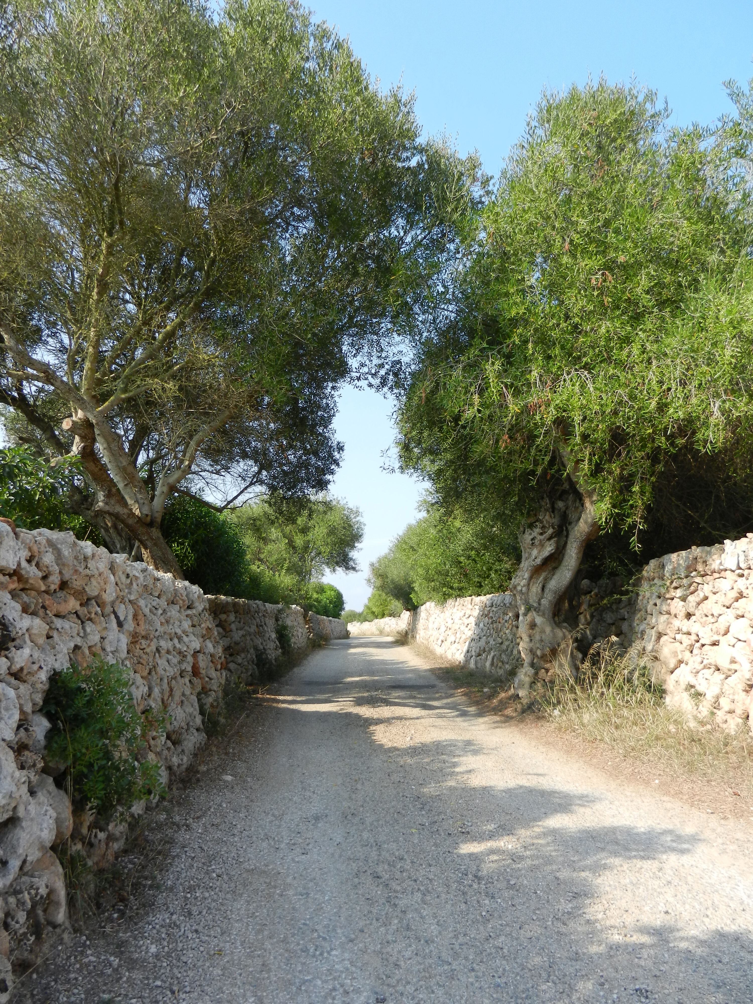 De Sant Lluís a la torre medieval de sa Vigia