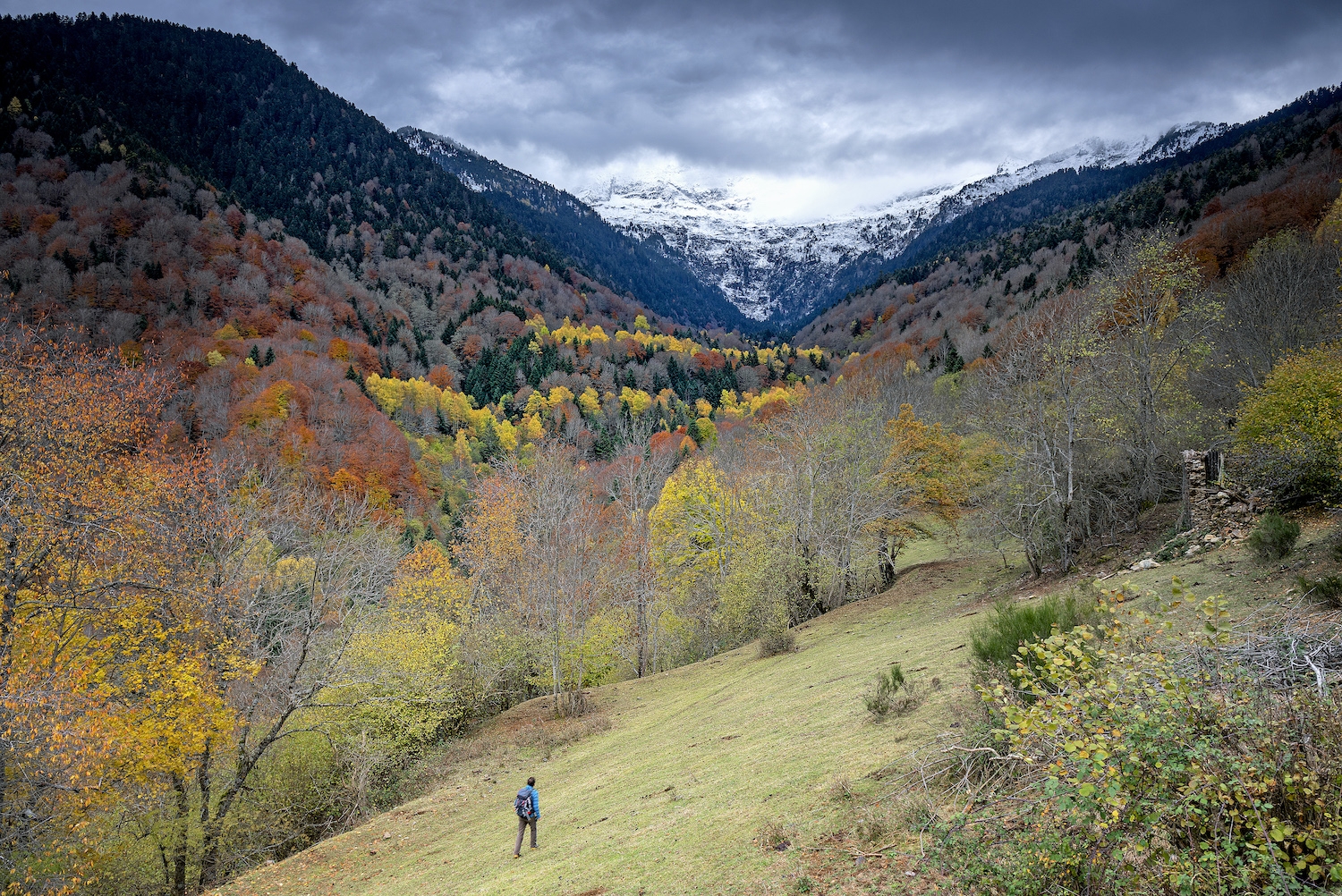 La Val de Toran es troba al vessant més atlàntic de l’Aran i és l'ecosistema perfecte per l'os bru La Val de Toran es troba al vessant més atlàntic de l’Aran i és l'ecosistema perfecte per l'os bru