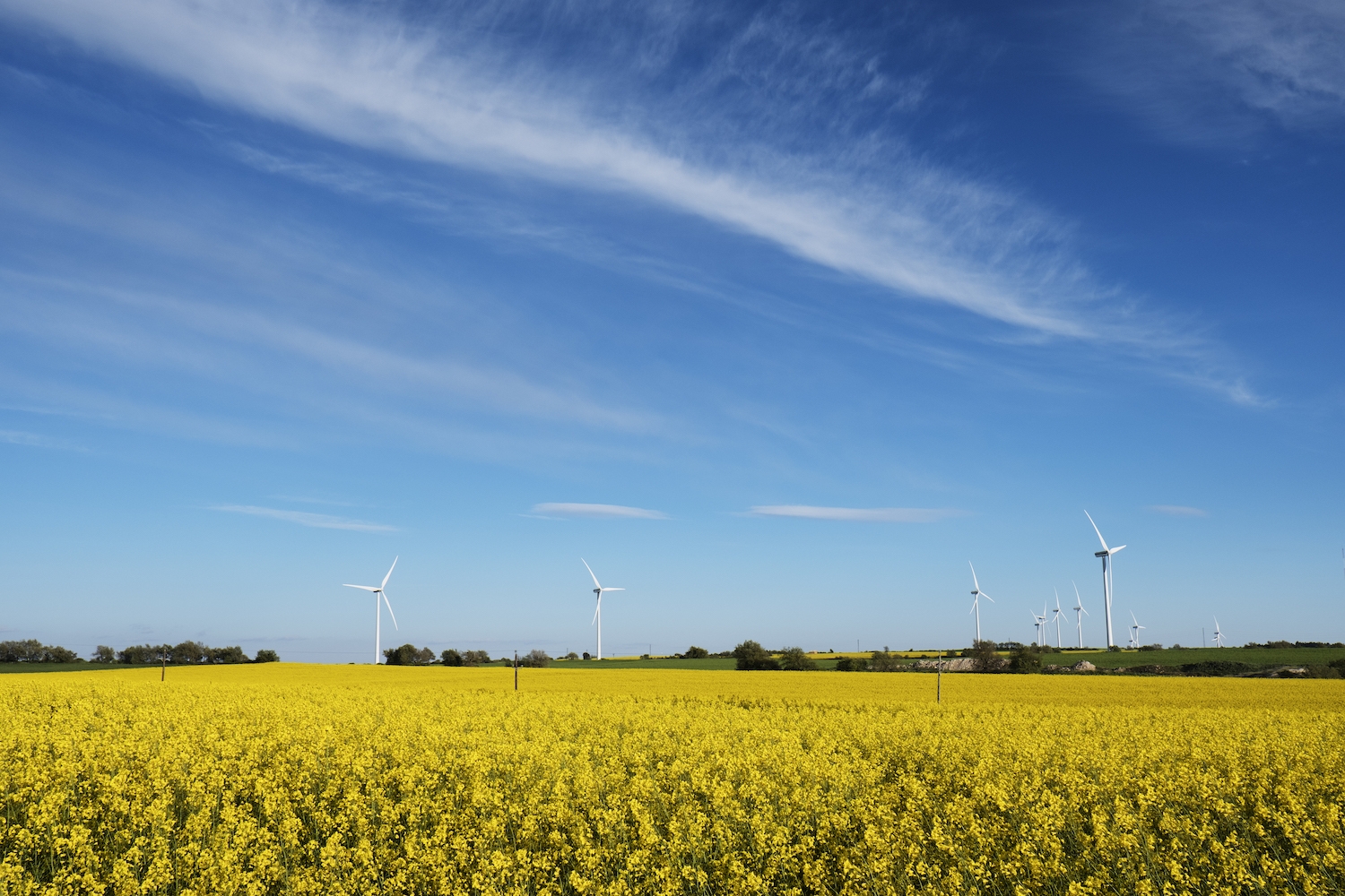 Els 27 molins de Pujalt generen l’energia necessària per abastir 54.000 habitants
