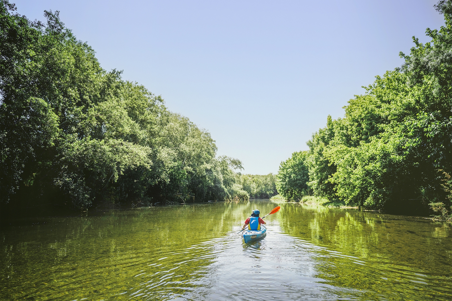 La vegetació de les ribes de l’Ebre és un refugi per a moltes espècies d’ocells; algunes hi viuen tot l’any i d’altres s’hi aturen en algun moment de les seves migracions