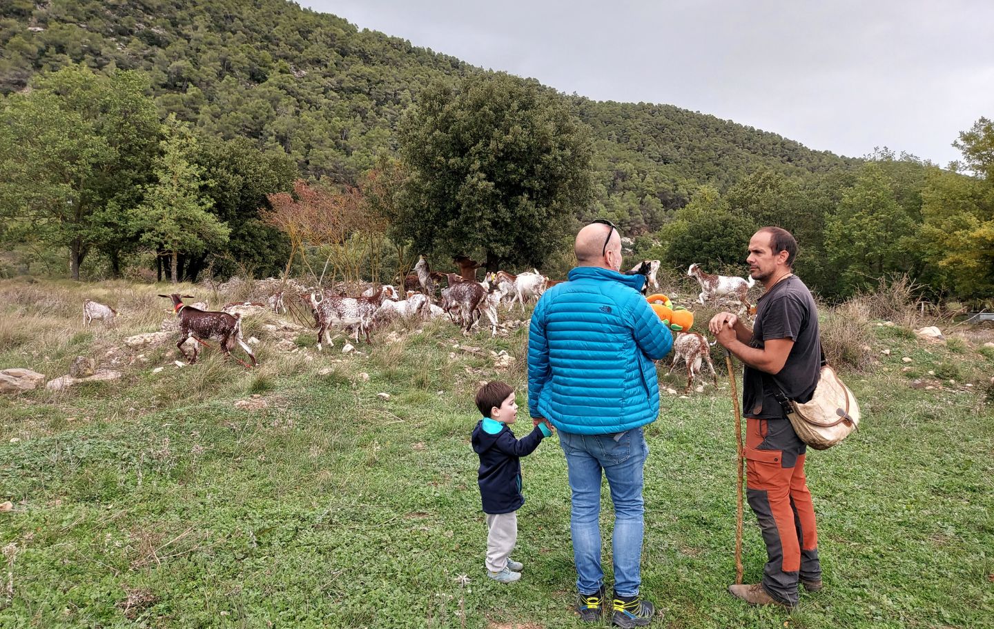 En Sergi és el pastor de Capafonts i ofereix visites per conèixer la seva feina En Sergi és el pastor de Capafonts i ofereix visites per conèixer la seva feina