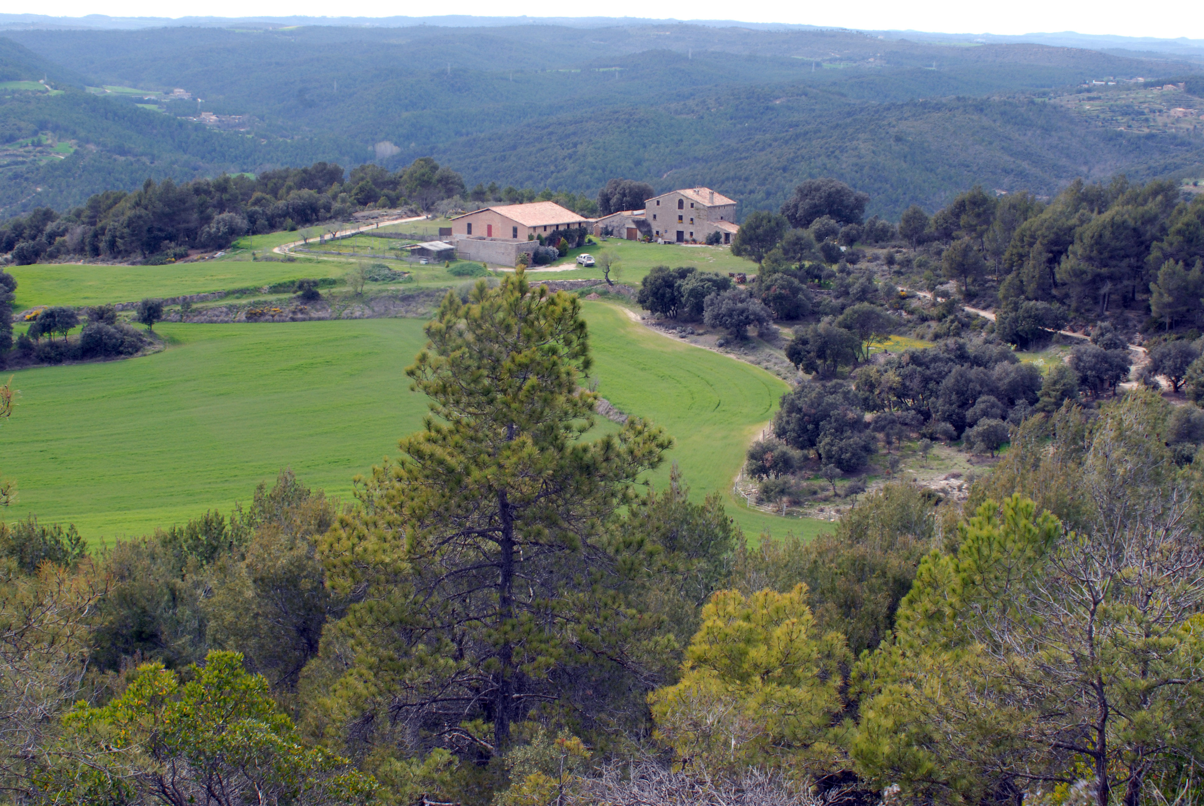 Fem el cim del puig de Comabella. Fem el cim del puig de Comabella.
