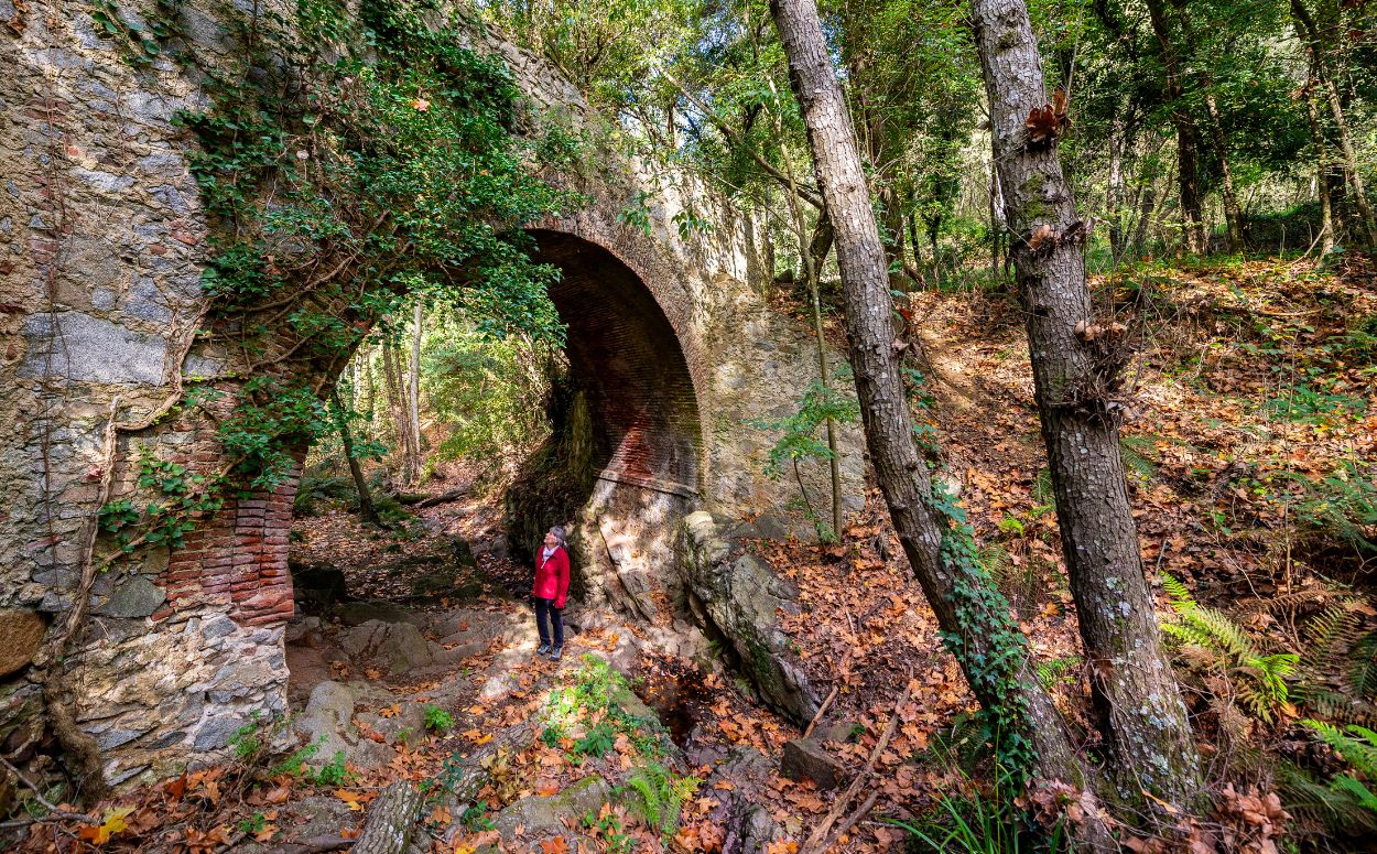 Pont de Can Plana, camí cap a Olzinelles Pont de Can Plana, camí cap a Olzinelles