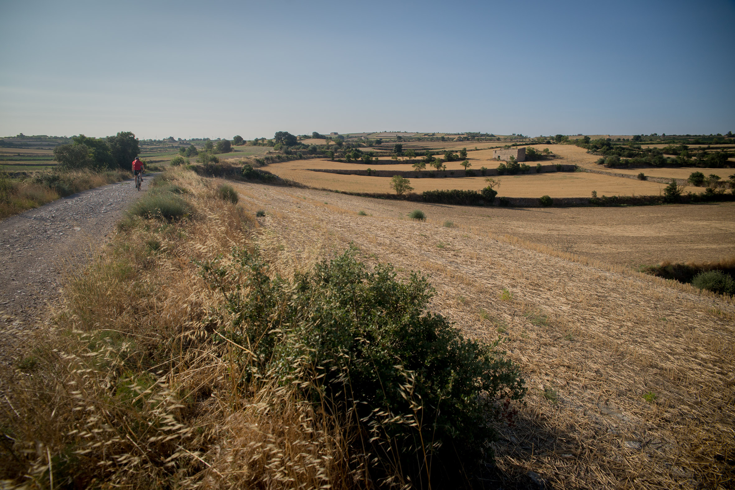 L’Urgell en estat pur.