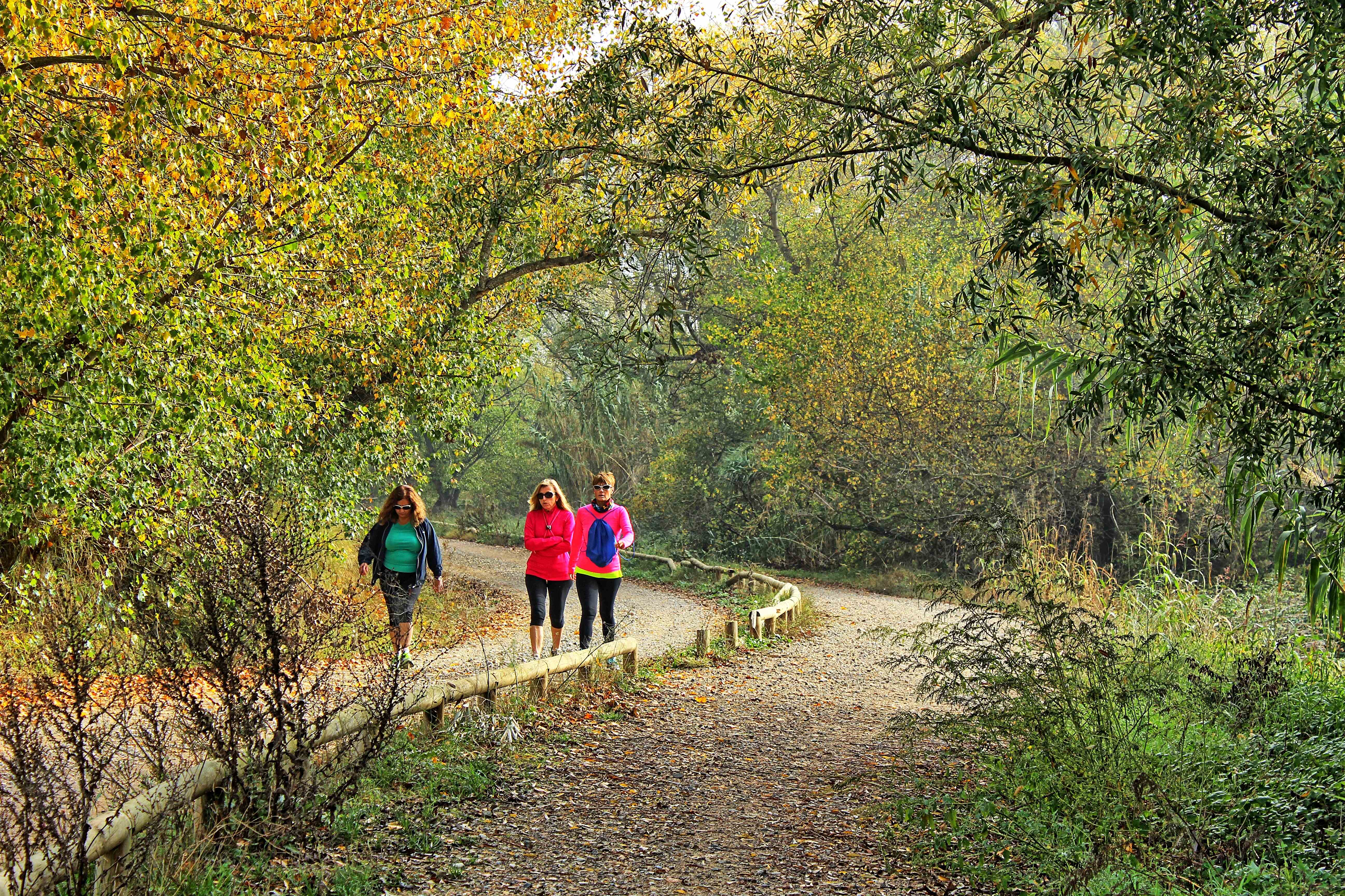 El Camí natural del Segre