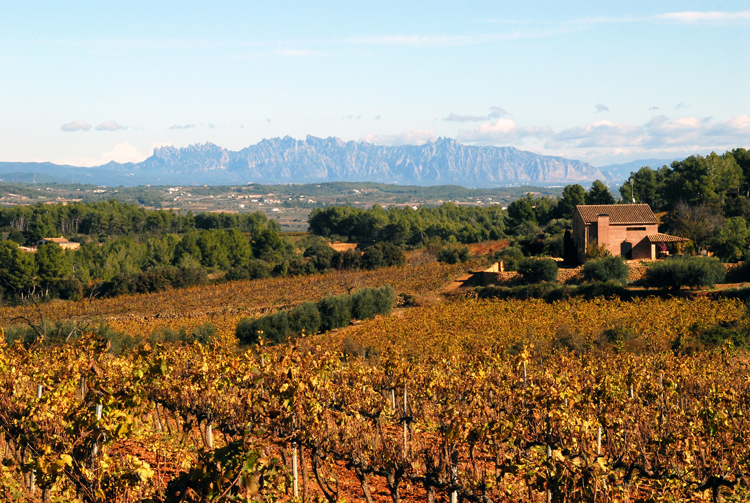 De Sant Martí Sarroca al castellot de Castellví amb Montserrat a la vista