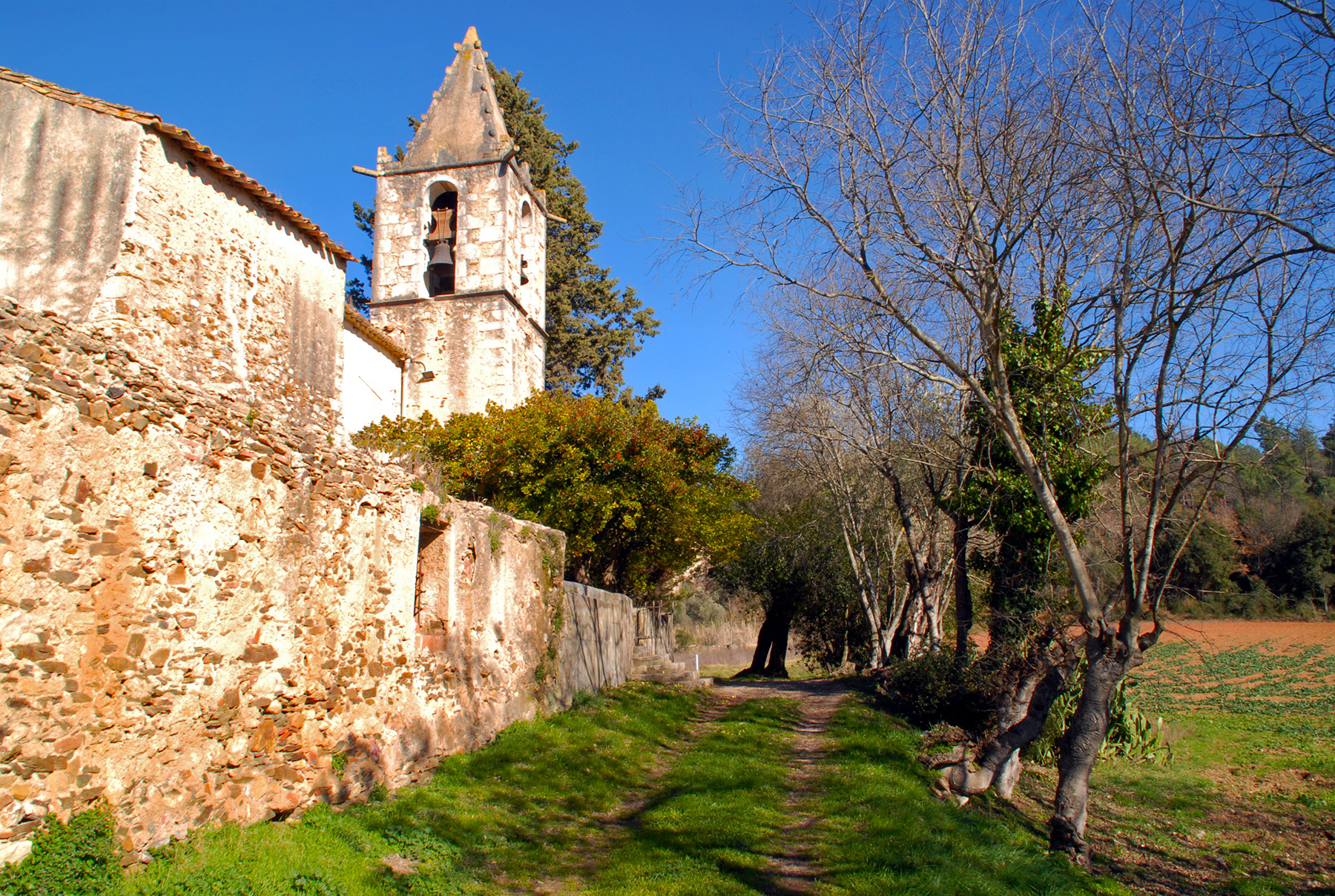 L’església de Sant Sadurní està adossada al castell de Palol, que és de propietat privada L’església de Sant Sadurní està adossada al castell de Palol, que és de propietat privada