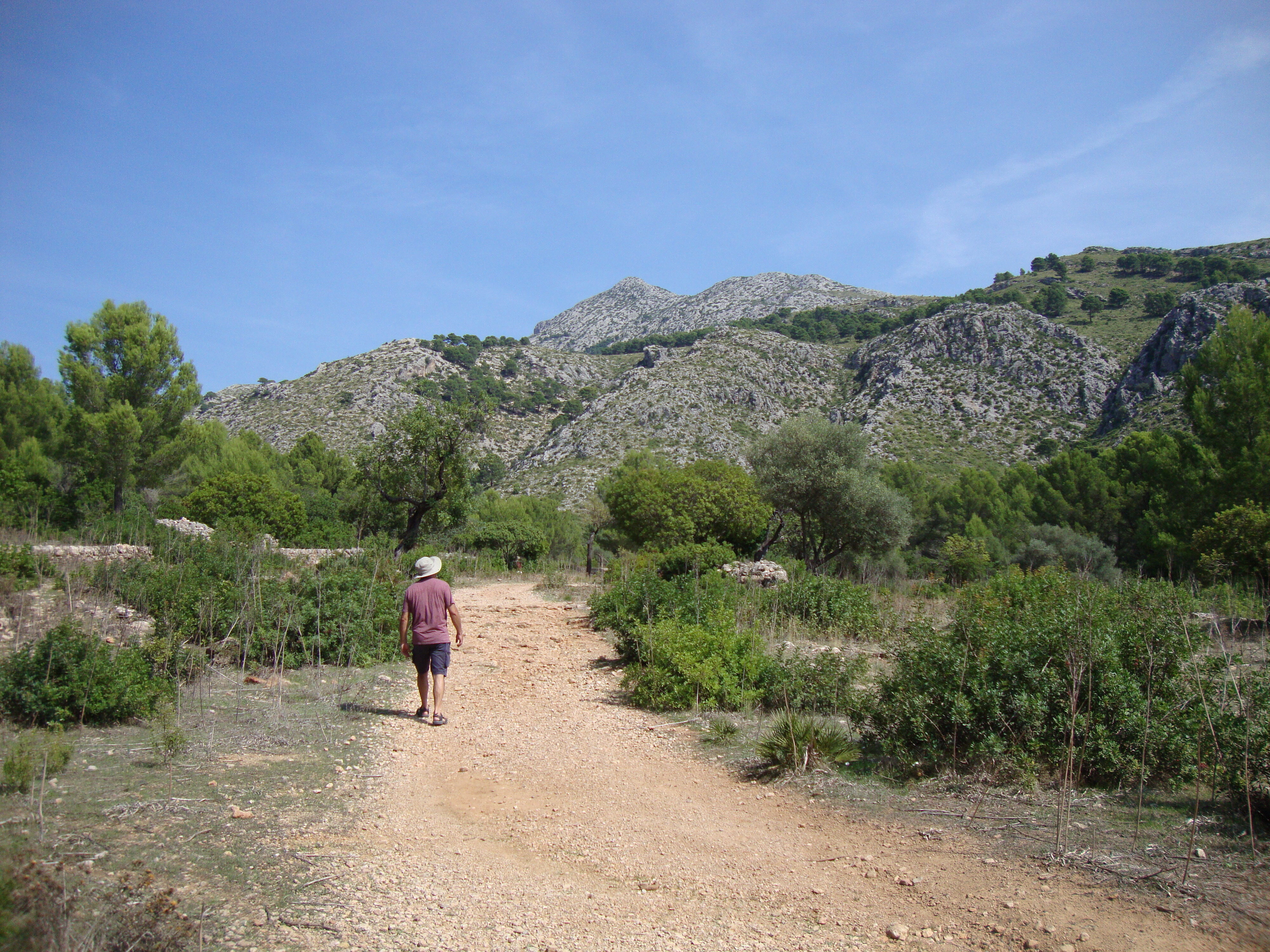 Una finca agrícola a la serra de Tramuntana
