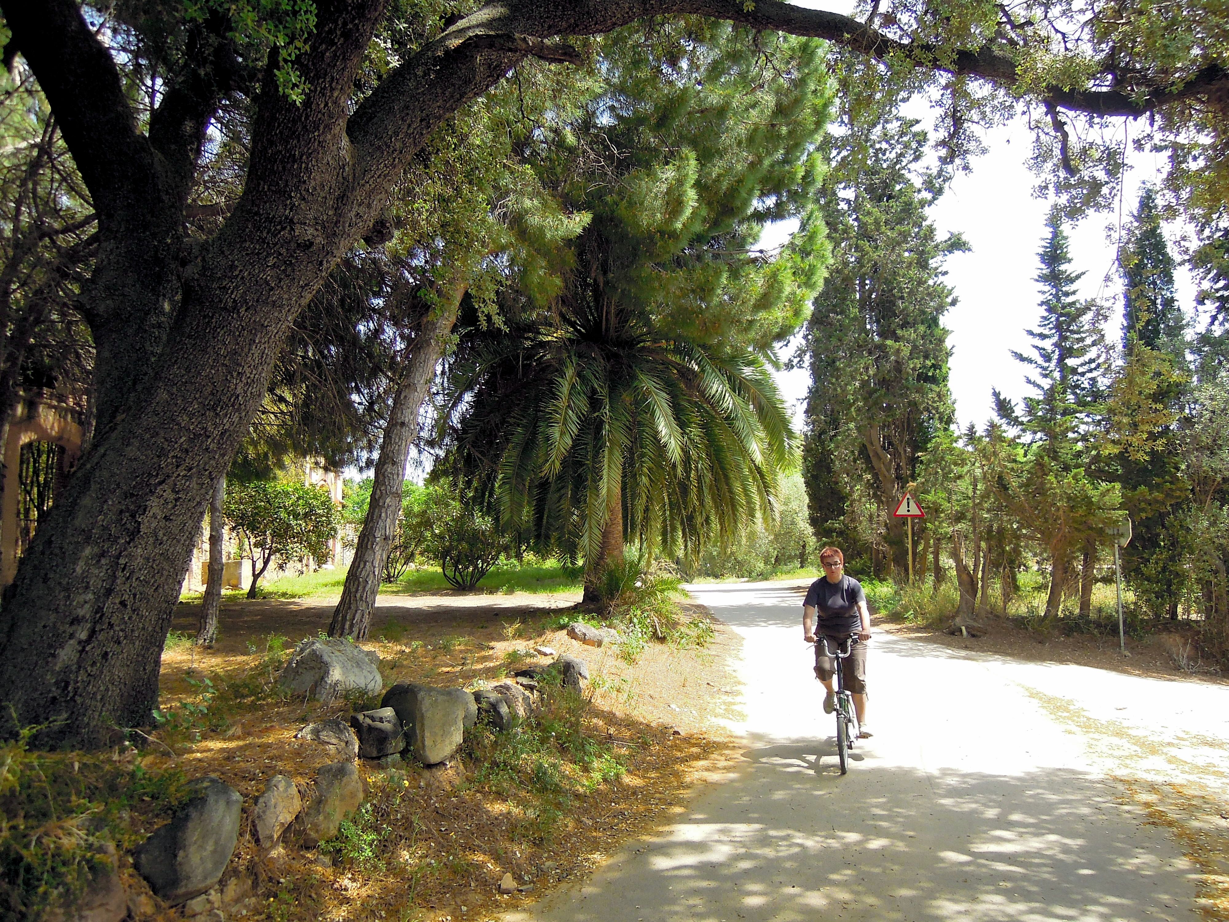 Per la plana de Cambrils i Mont-roig del Camp