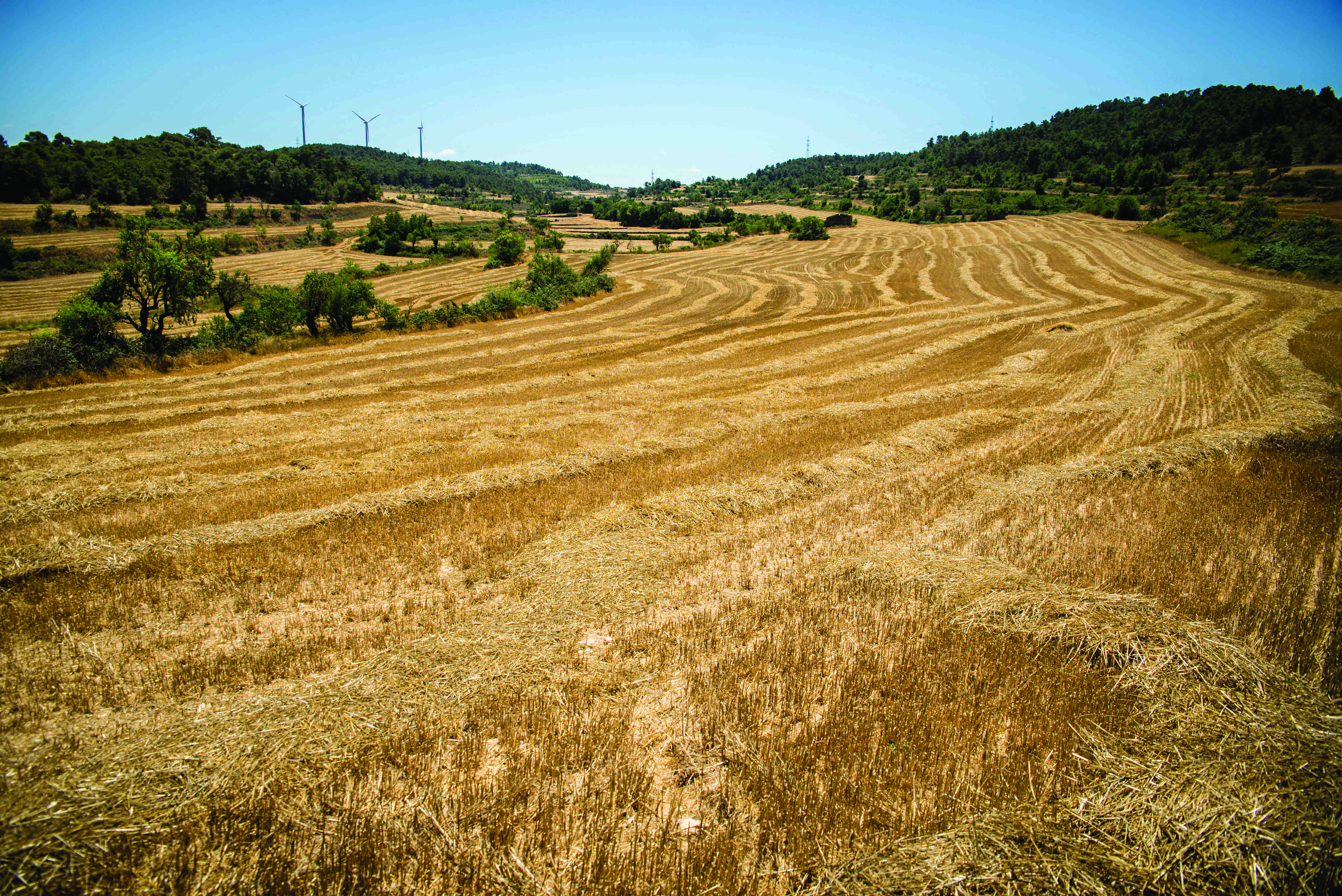Els paisatges de secà a la serra del Tallat. Els paisatges de secà a la serra del Tallat.
