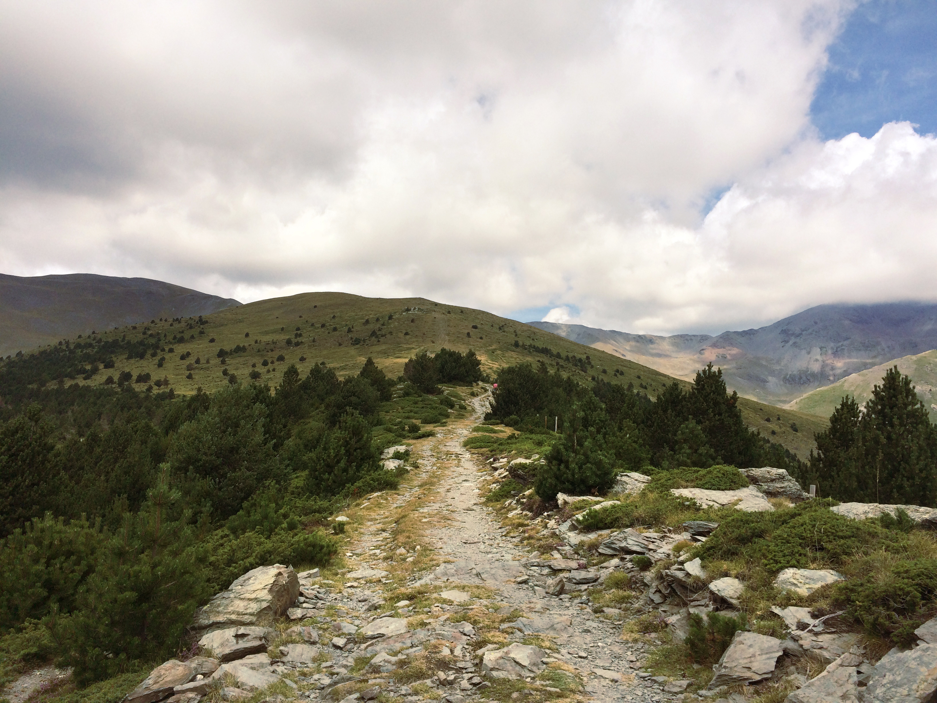 Entre isards i marmotes, a Planoles.