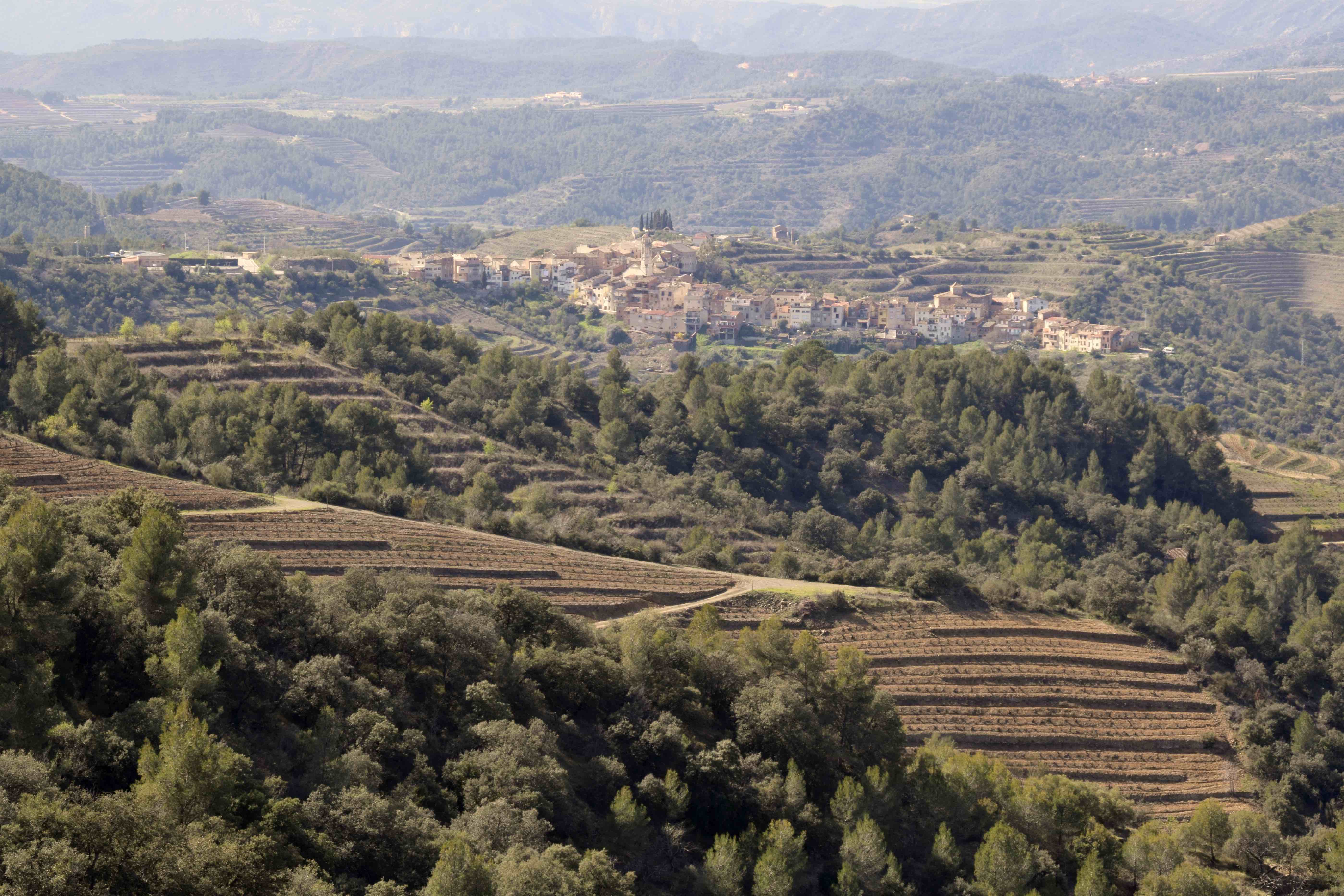La vista cap a Bellmunt del Priorat és espectacular.