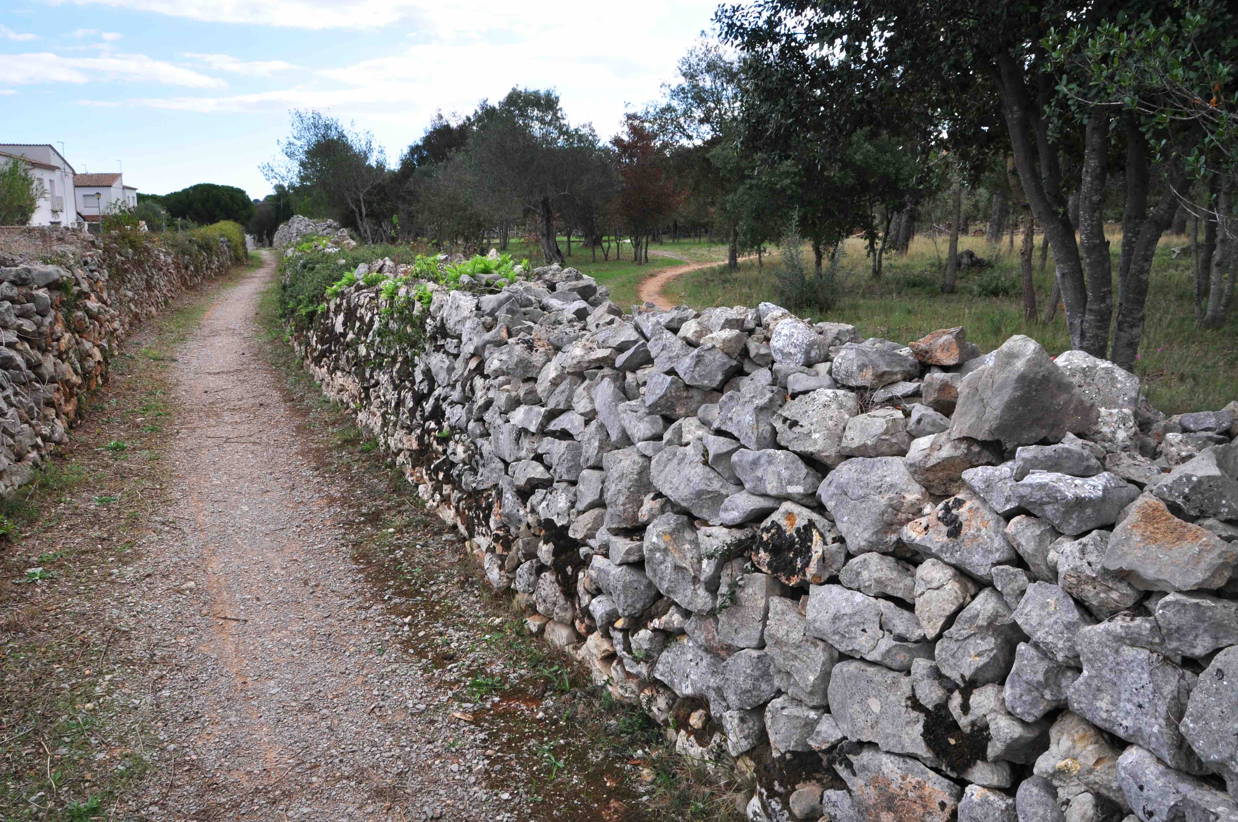 A l'Escala trobem un camí senzill i planer, apte per a tota la família, que ens permetrà descobrir fàcilment la història i l’entorn d’un paratge únic.