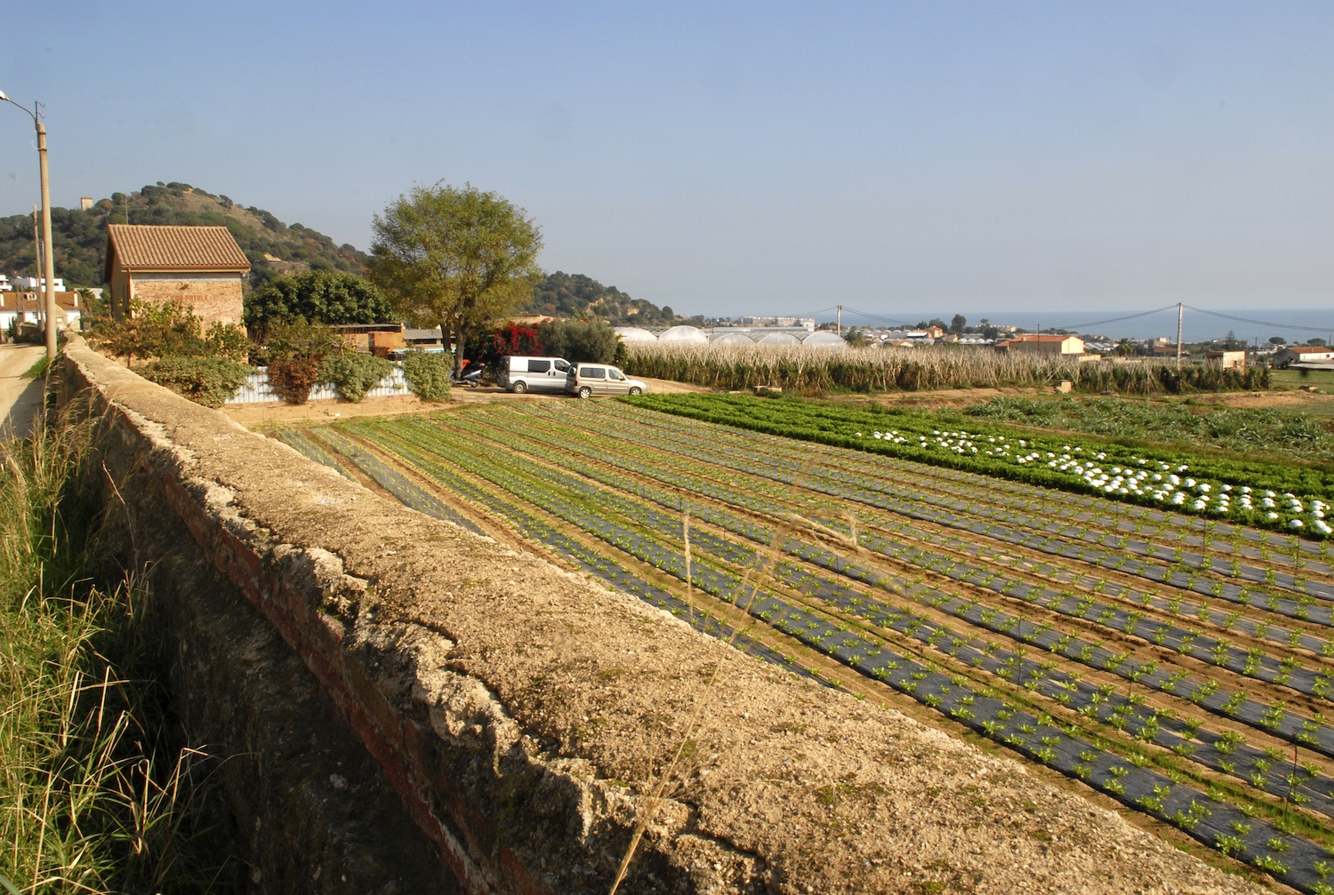 Les Cinc Sénies és un espai agrari de més de dues-centes hectàrees que s’estén a la vora del mar.