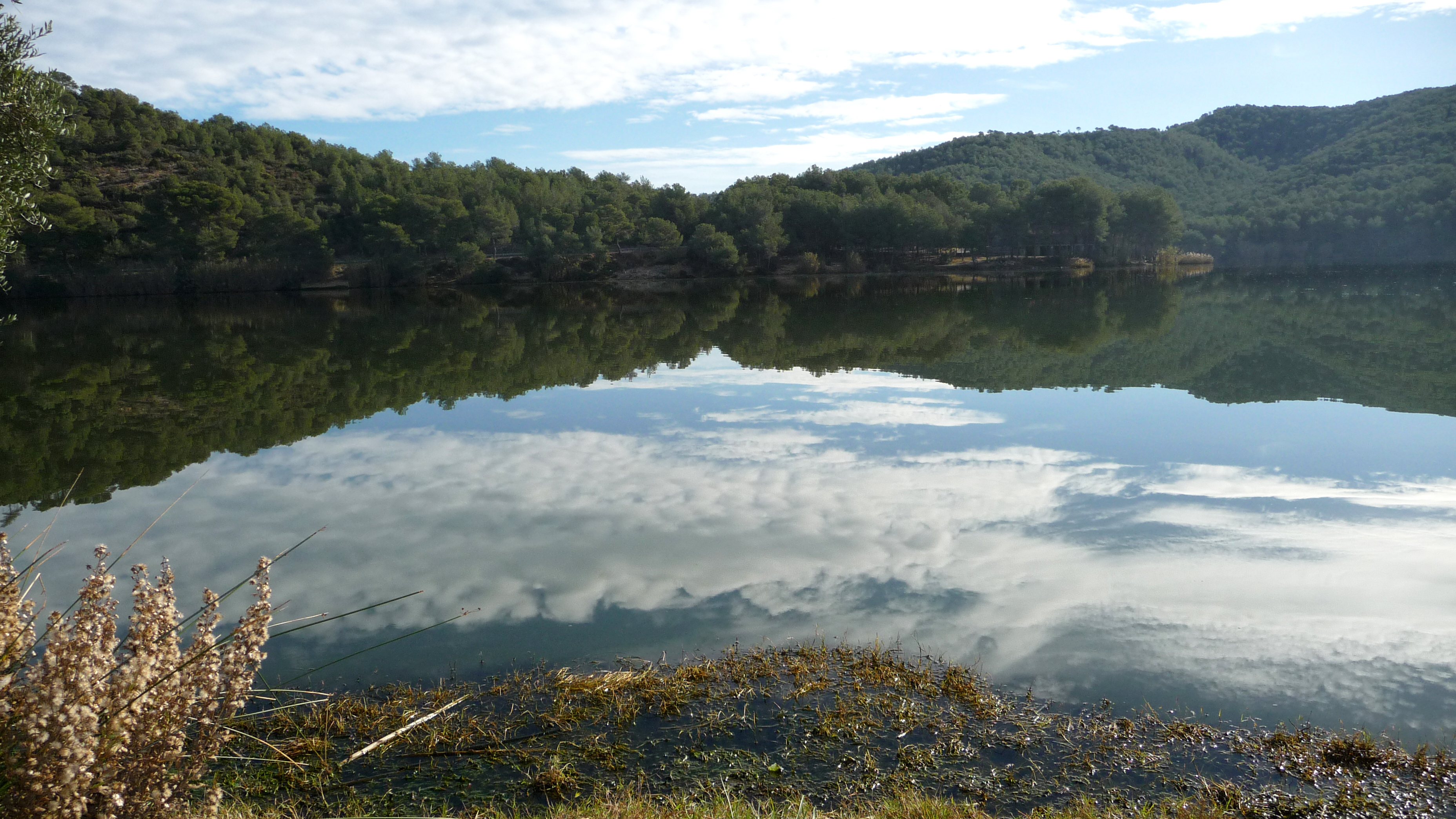 Cap a la font d’Horta i l’embassament de Foix.