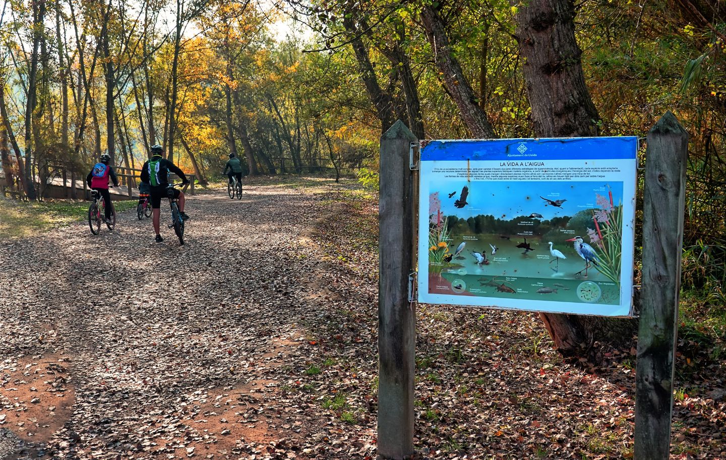 Tot al llarg del recorregut de la ruta del bosc de la Mitjana trobem panells informatius sobre la flora i la fauna del Parc.
