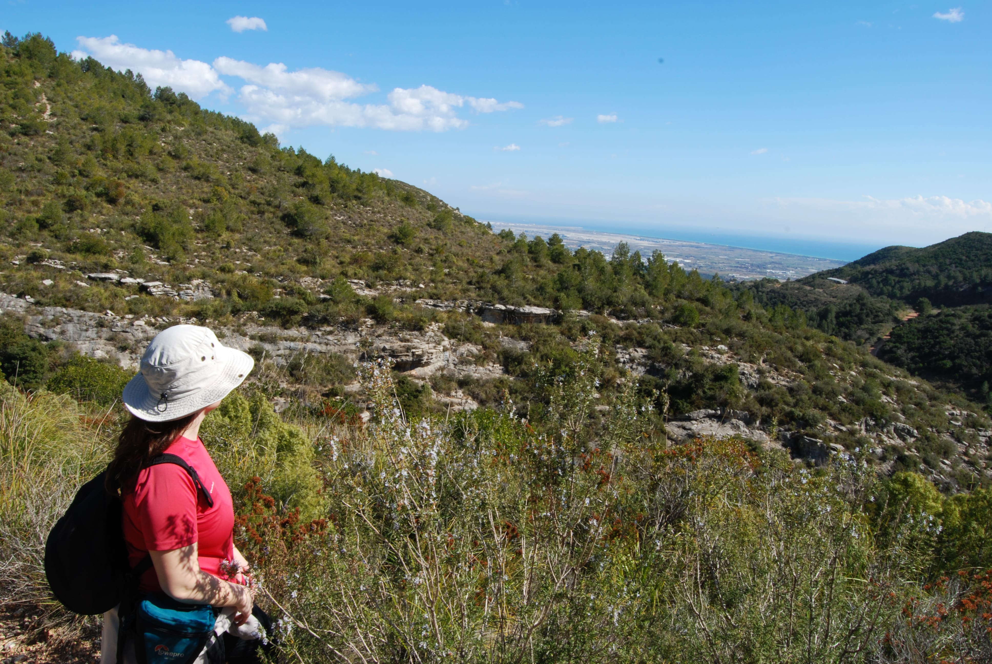 Des del coll Sostrell albirem la mar, amb el paisatge característic del Parc del Garraf en primer terme