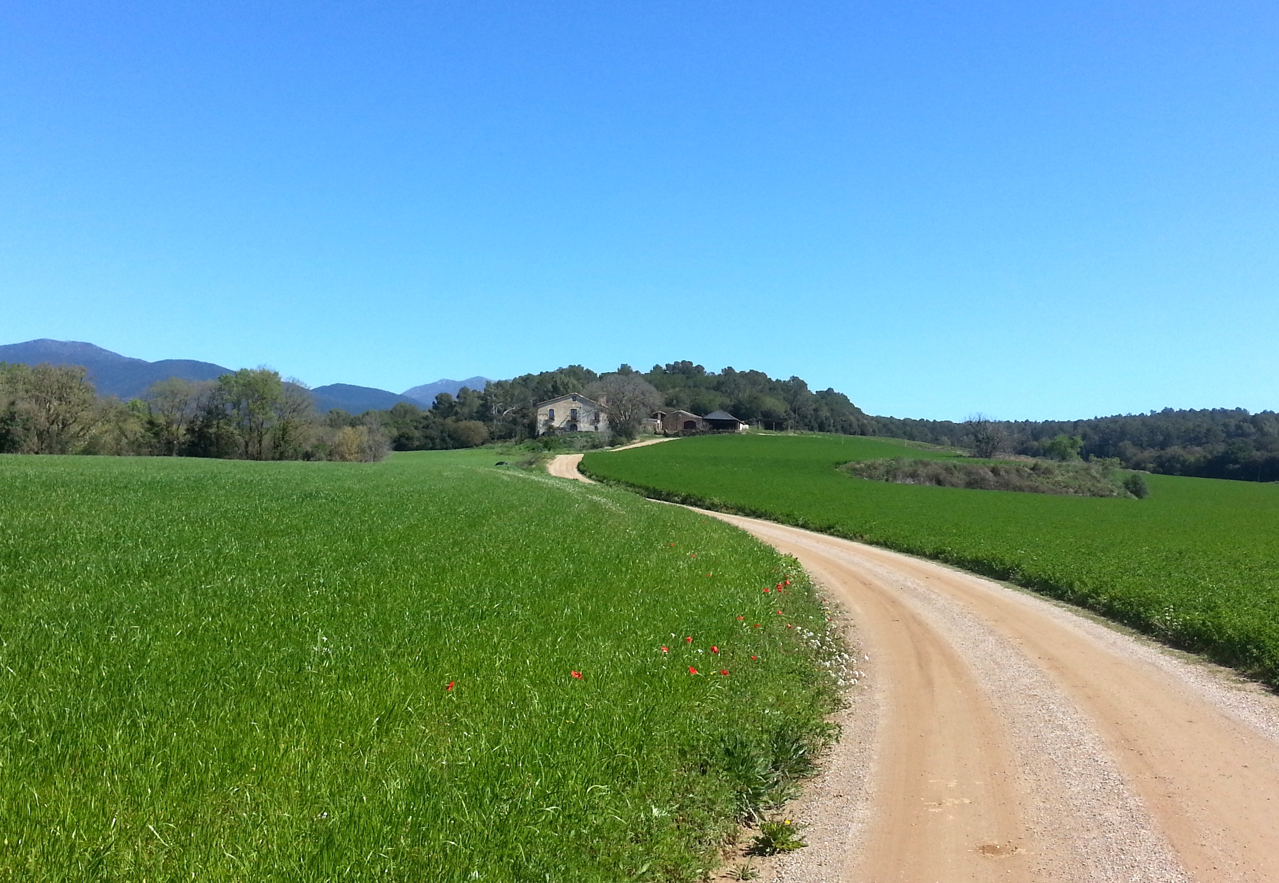 Pedalem pels plans més alts del Vallès, entre les Franqueses i Cardedeu.