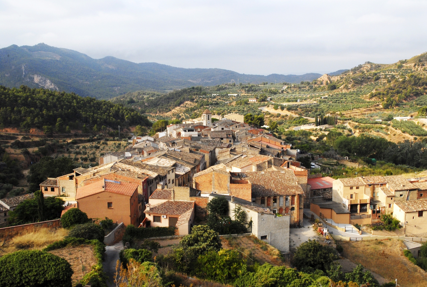 Cabacés el Priorat de l'oli.
