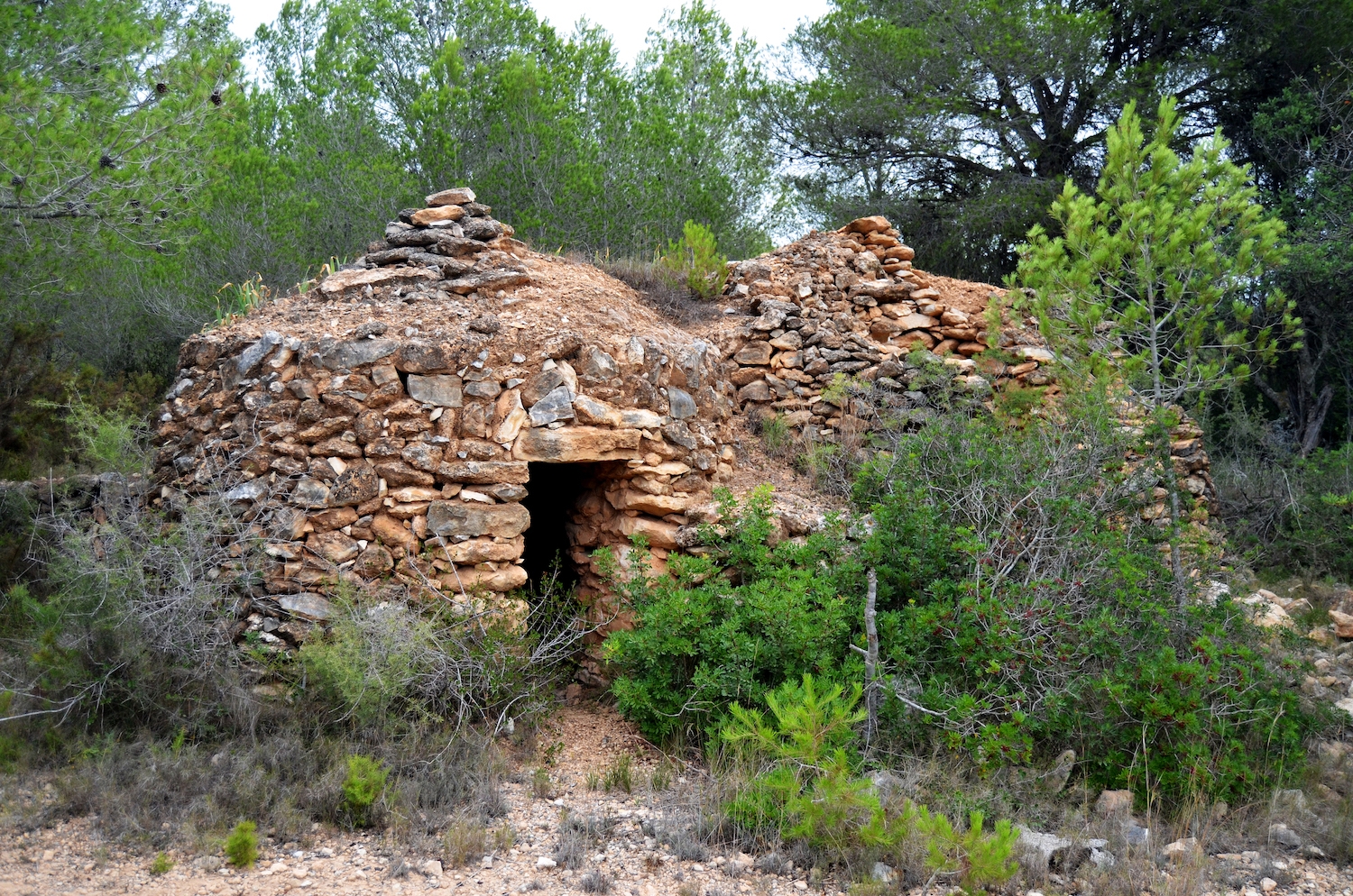El puig Lleó és el cim més alt de la capital del Baix Penedès.