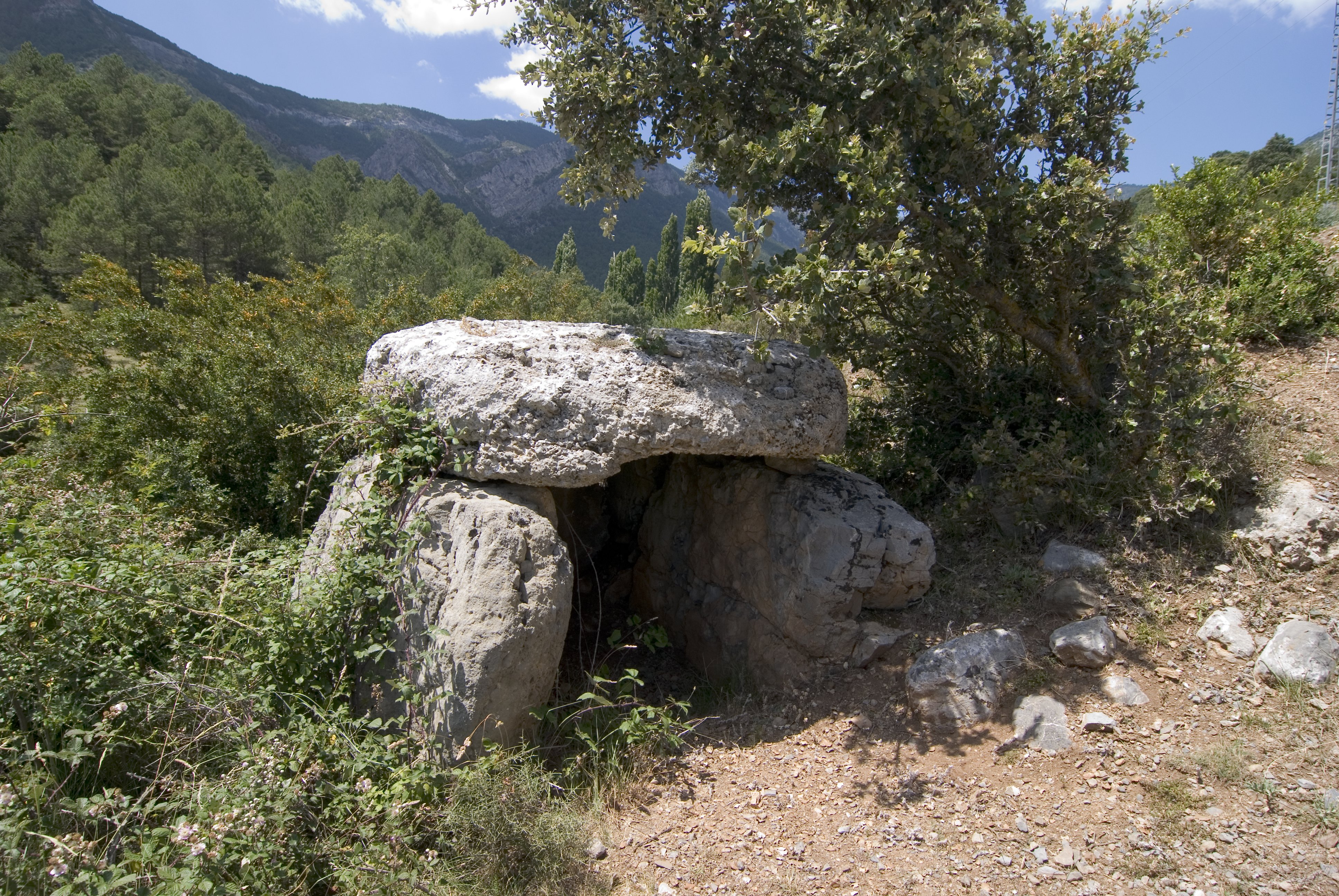 Entre dòlmens, a la vall de Cabó