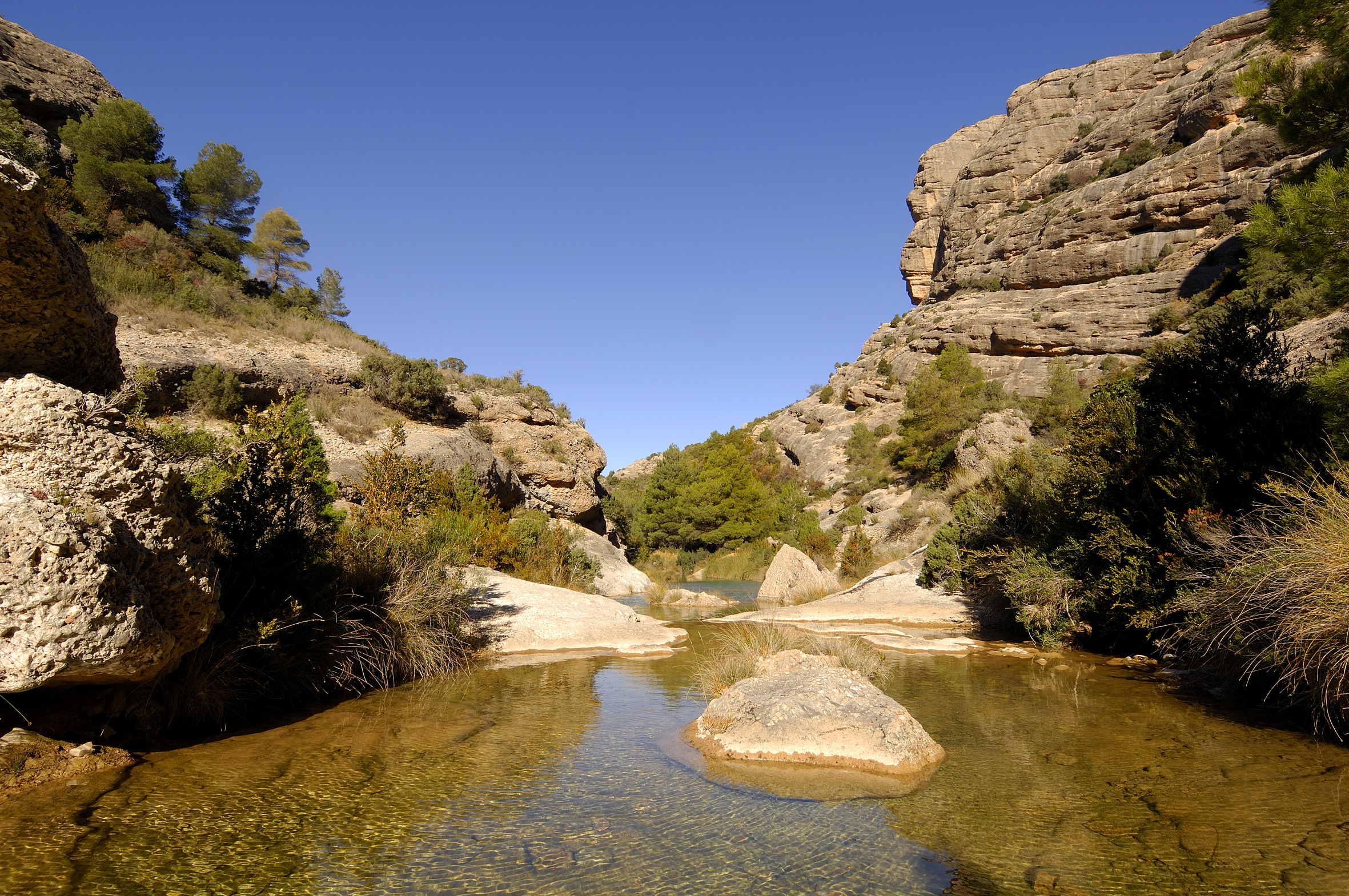 Remors d’abans als estrets d’Arnes Remors d’abans als estrets d’Arnes