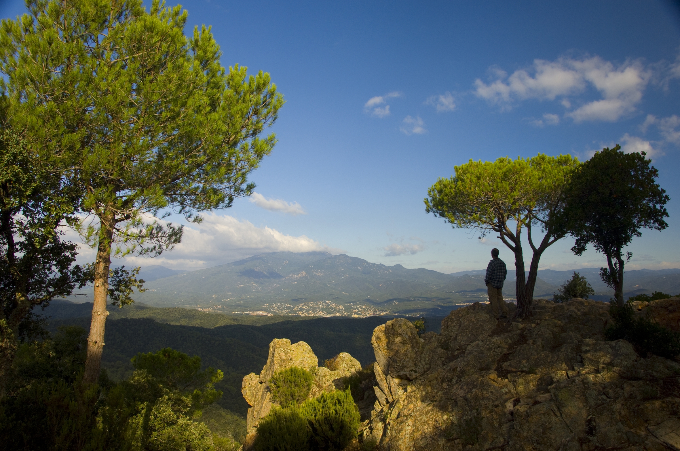 Un tomb pel bosc d'Hortsavinyà