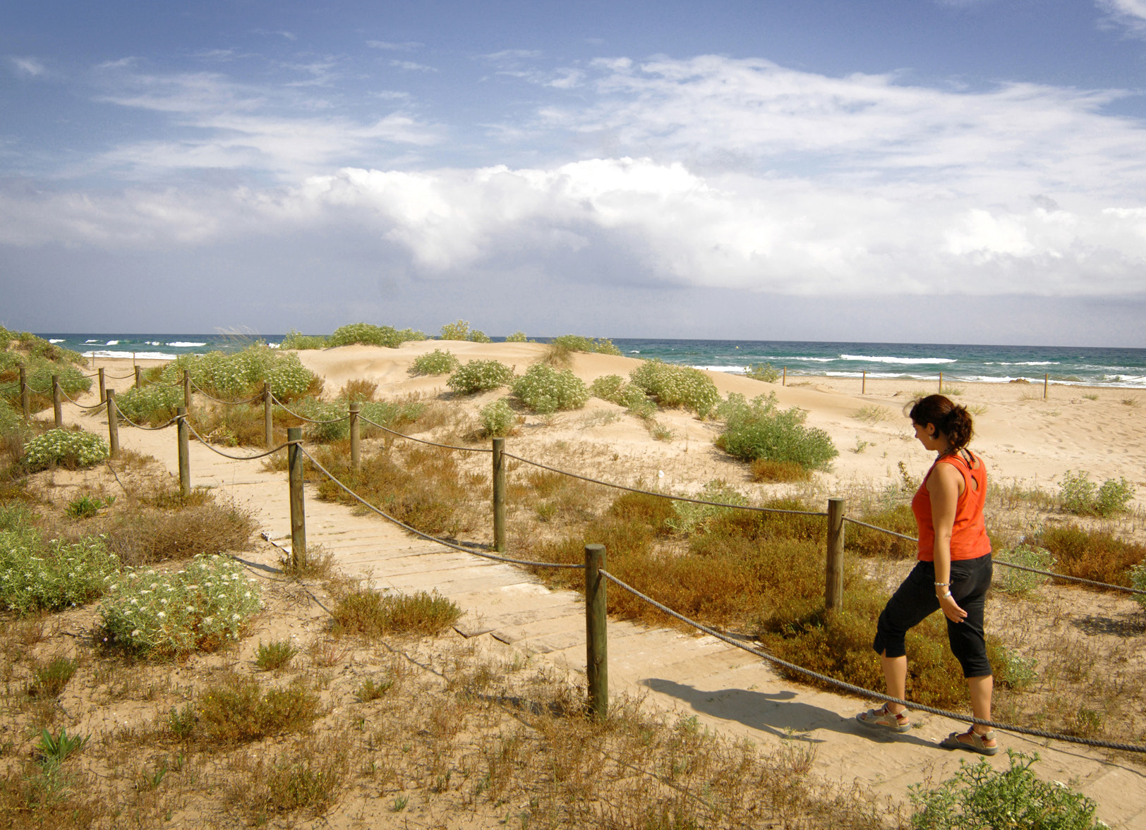 Una excursió a la vora del mar.