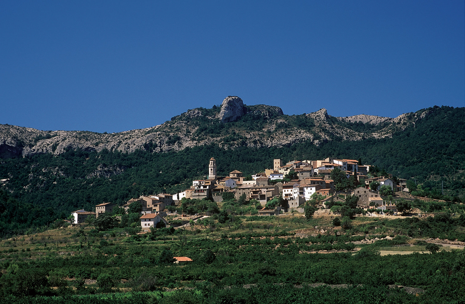 Capafonts és un poble ben situat dalt d'un turó, tot envoltat de camps i amb la silueta del cim del Picorandan de teló de fons