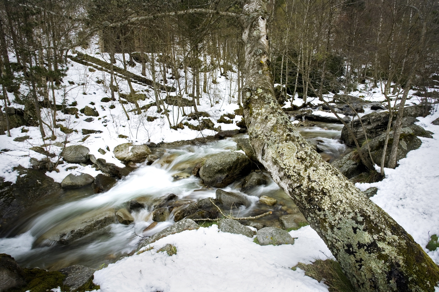 Abans d’arribar a Setcases, la vall del Ter rep el nom de vall de Carlat; els seus vessants, amb molt de pendent, són coberts de boscos Abans d’arribar a Setcases, la vall del Ter rep el nom de vall de Carlat; els seus vessants, amb molt de pendent, són coberts de boscos