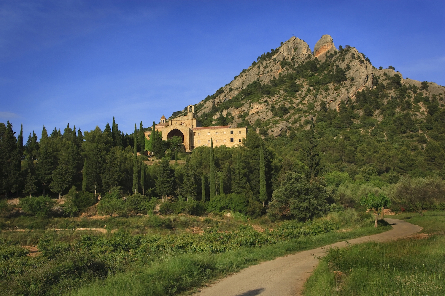 La muntanya de Santa Bàrbara i el convent de Sant Salvador foren un gran motiu d’inspiració per a Picasso.