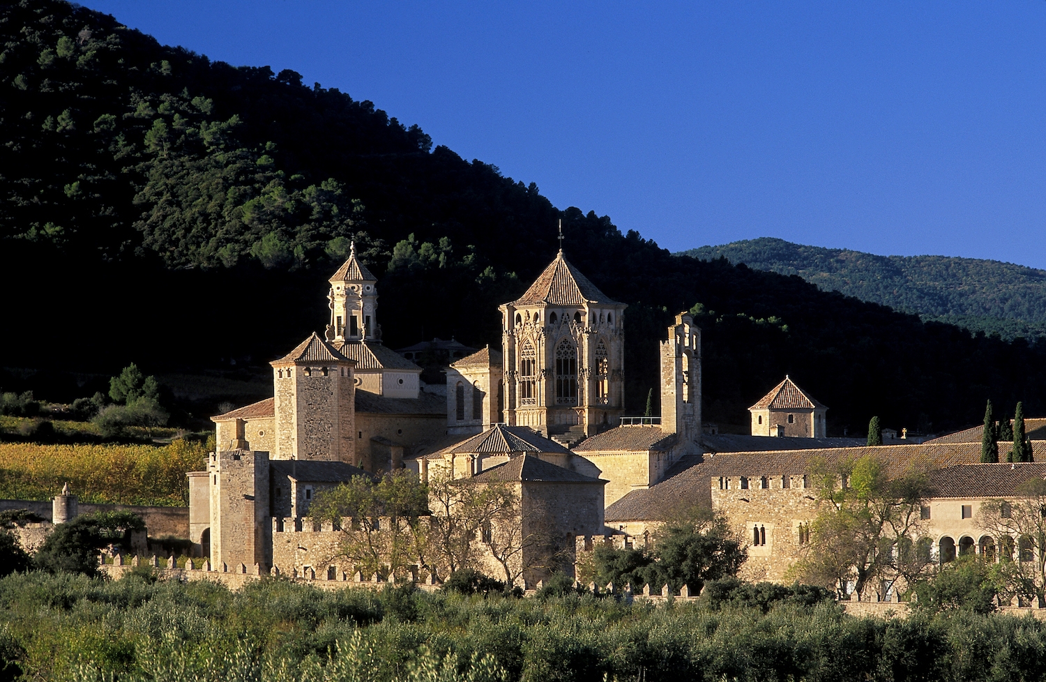 Vista del monestir de Poblet