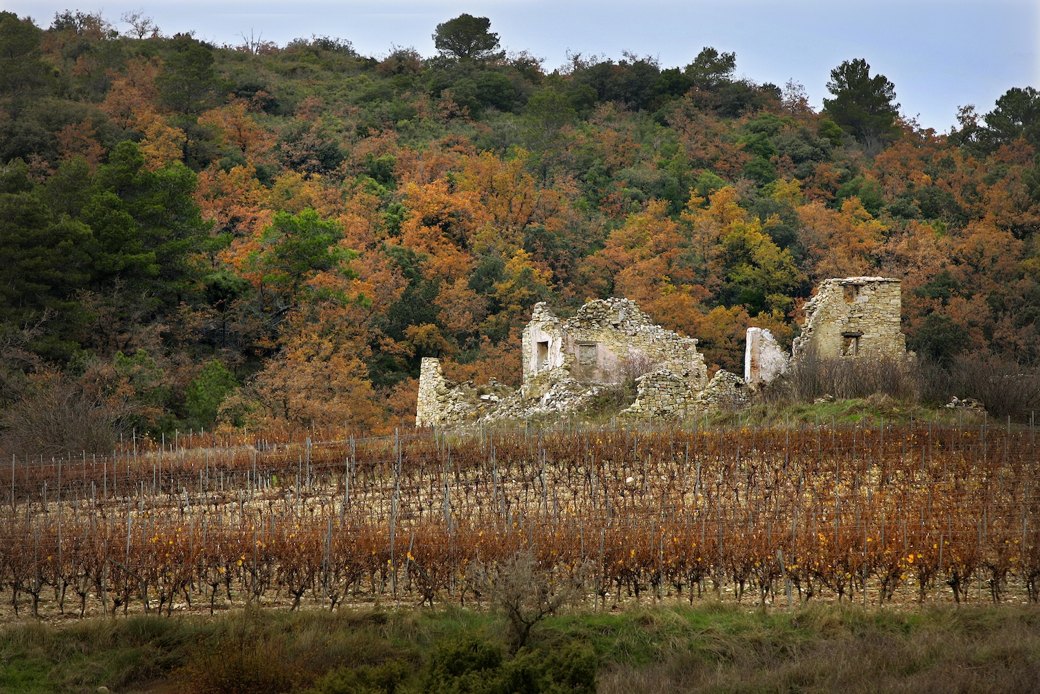 El camí de Ancosa-Montagut és ple d'antics masos que descansen entre vinyes
