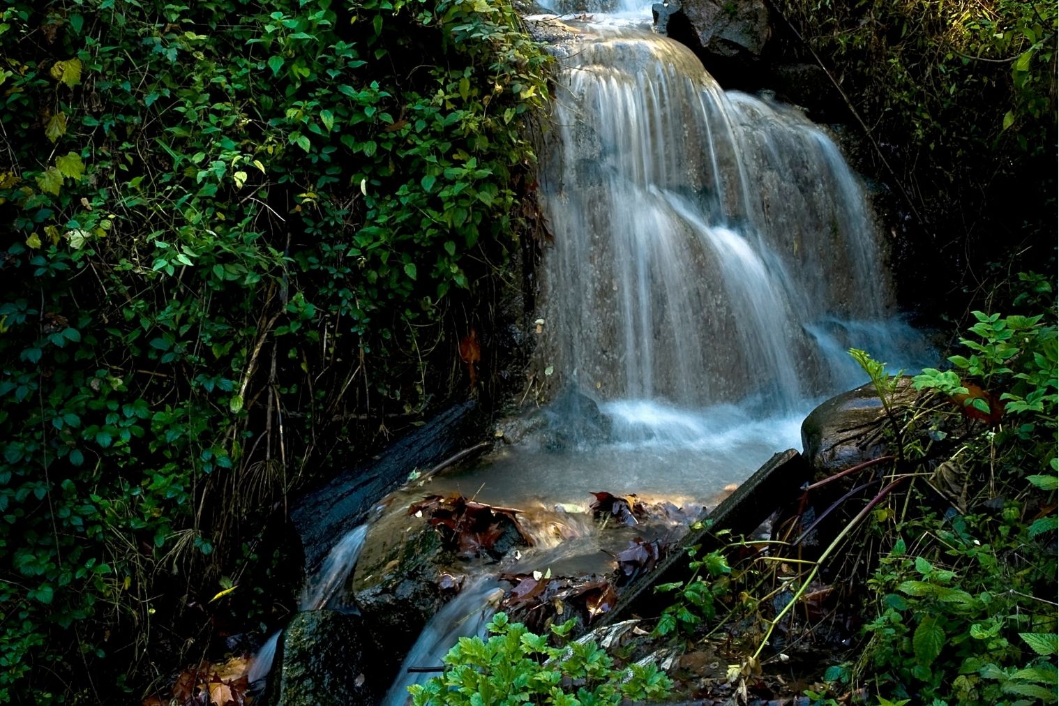 La riera d’Arbúcies fa salts d'aigua impressionants en diversos punts de la ruta