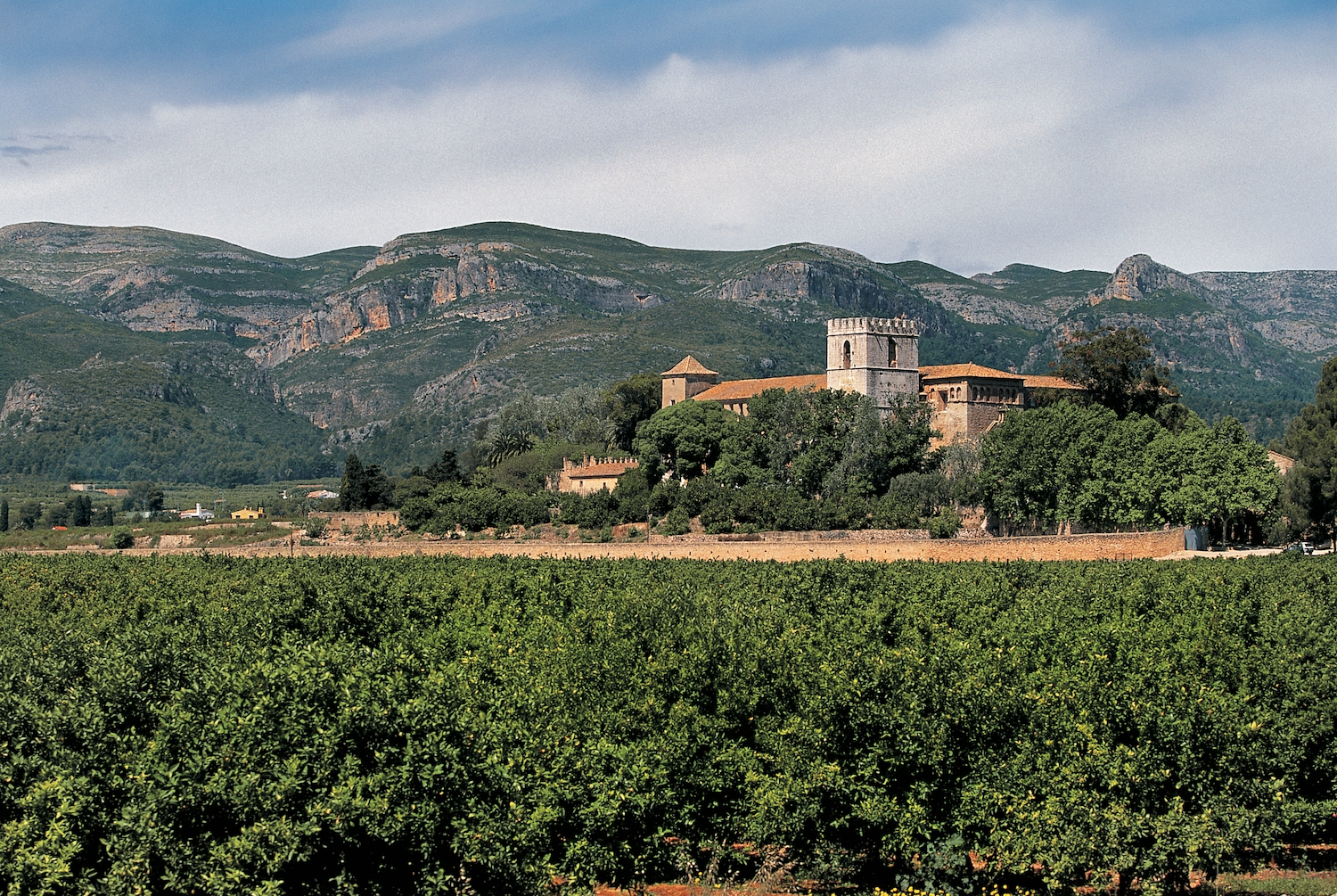 Vista de Sant Jeroni de Cotalba amb la serra de Marxuquera al fons