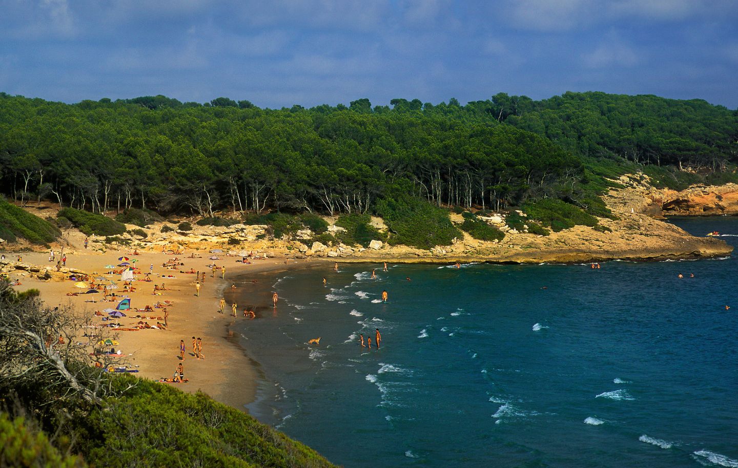 Arrecerada pel bosc  de la Marquesa, la platja de la Roca Plana 