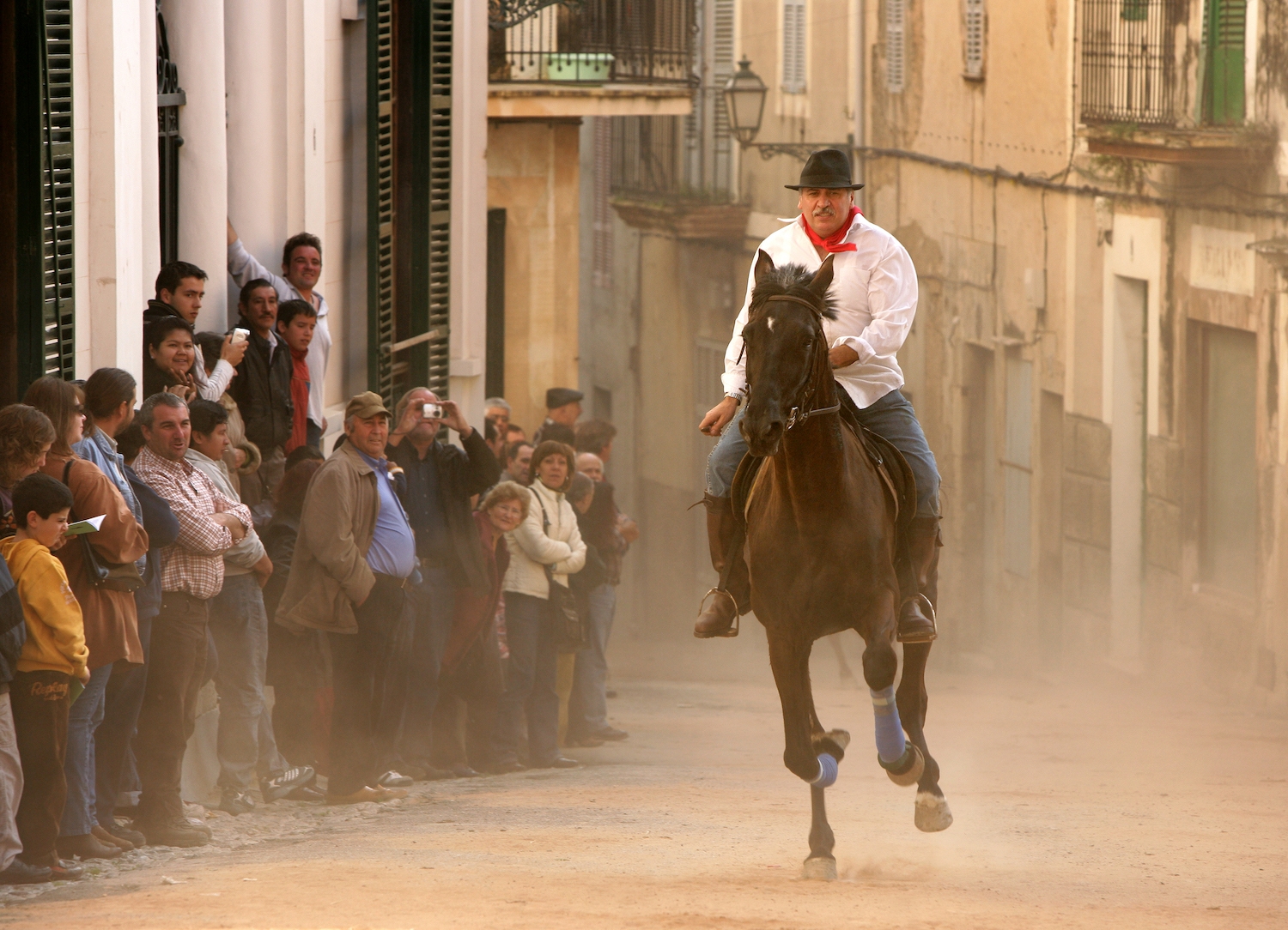 Els animals, sigui en curses o en benediccions, no falten a la festa. Antigament per Sant Antoni no se’ls feia treballar