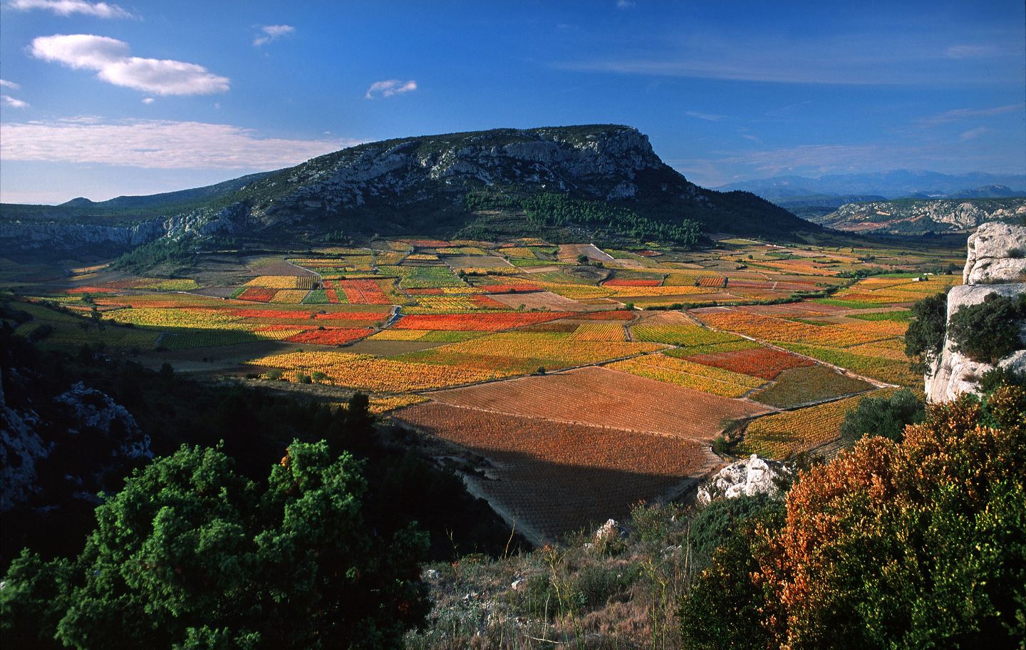 La vall del Verdoble rep la tramuntana dos dies de cada tres (1)