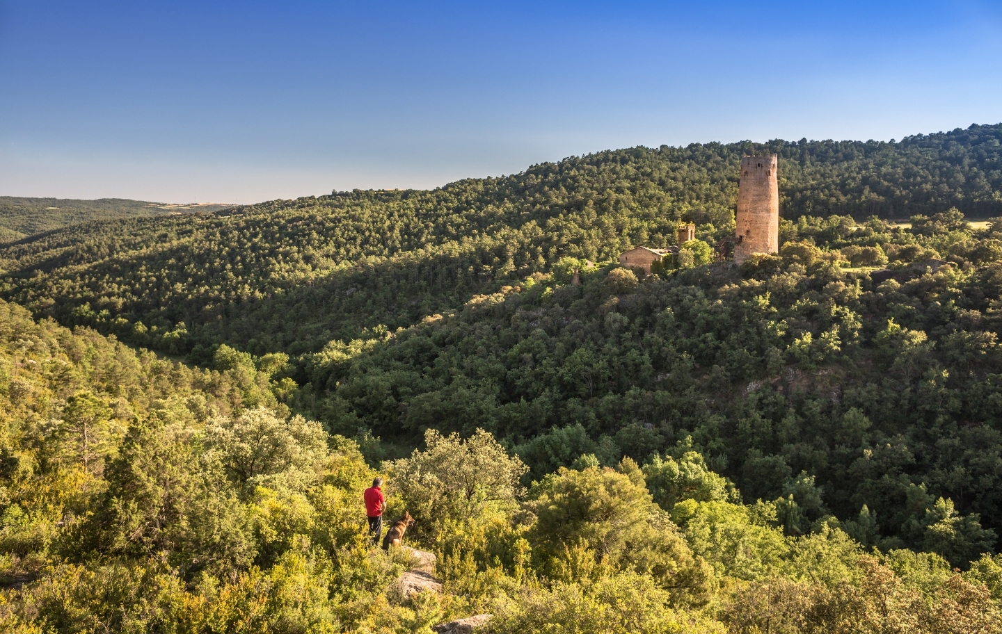 La torre de Vallferosa és el que queda de l'antic castell de Torà, dels senyors de Cardona. Al costat hi ha l'església de Sant Pere