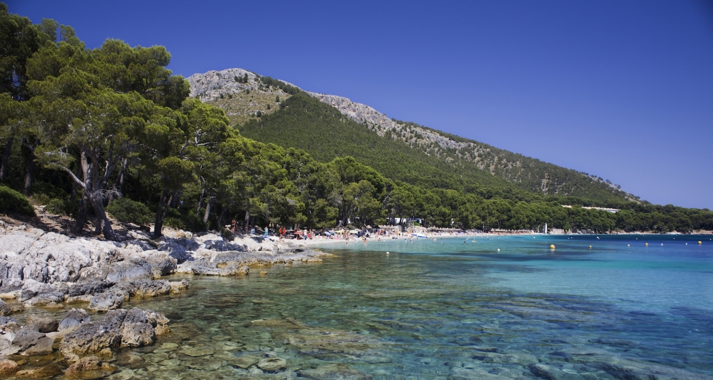 La platja de Formentor té el privilegi de rebre l’ombra dels pins just damunt la sorra La platja de Formentor té el privilegi de rebre l’ombra dels pins just damunt la sorra