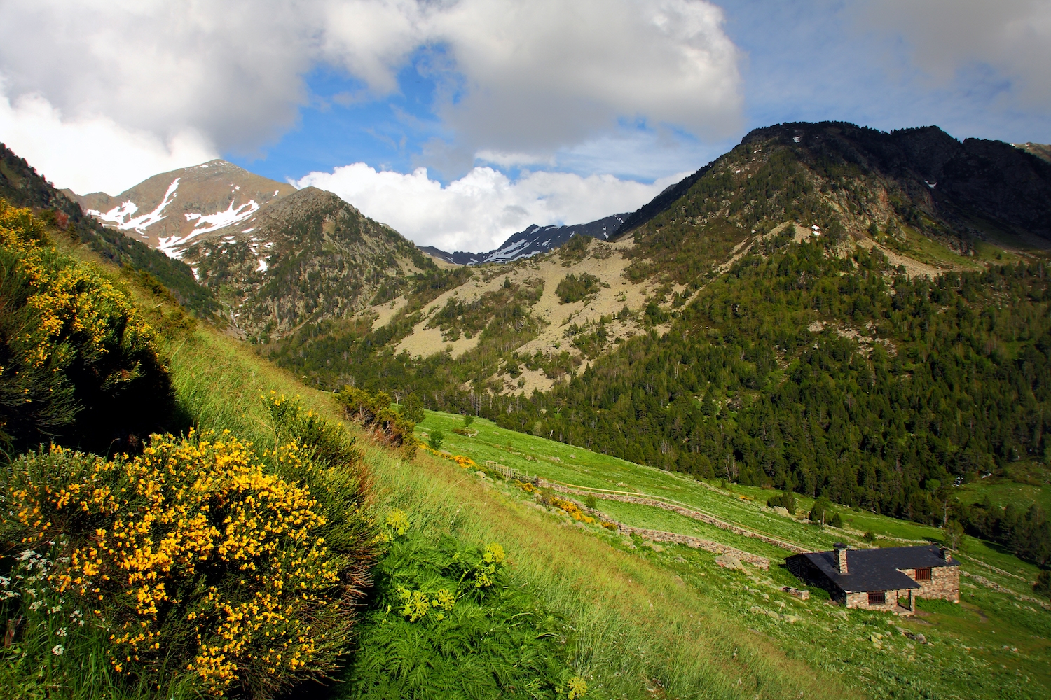 Les rutes ecoturístiques que travessen la vall ens acosten en poques hores als punts de més interès, com el refugi de Sorteny