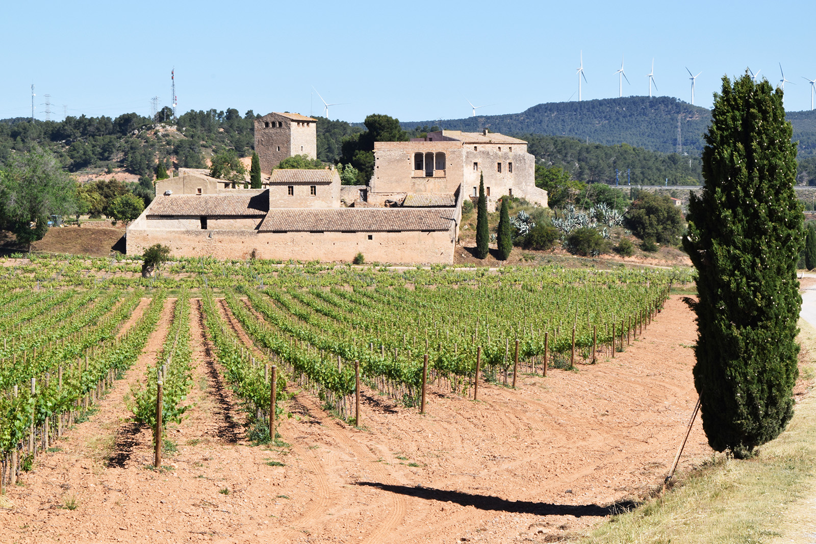 La Conca de Barberà és terra de vins i de castells. En aquest recorregut unim els dos ingredients en una sola proposta. La Conca de Barberà és terra de vins i de castells. En aquest recorregut unim els dos ingredients en una sola proposta.