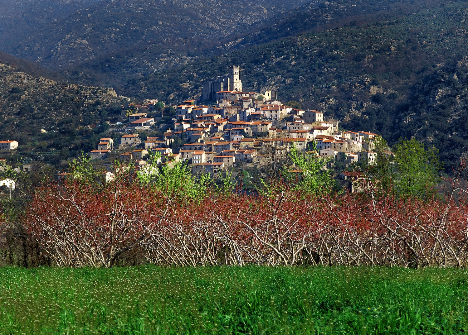Eus conserva l’aspecte més pintoresc del Conflent, amb la vall de la Tet als peus i l’església barroca de Sant Vicenç al capdamunt del poble