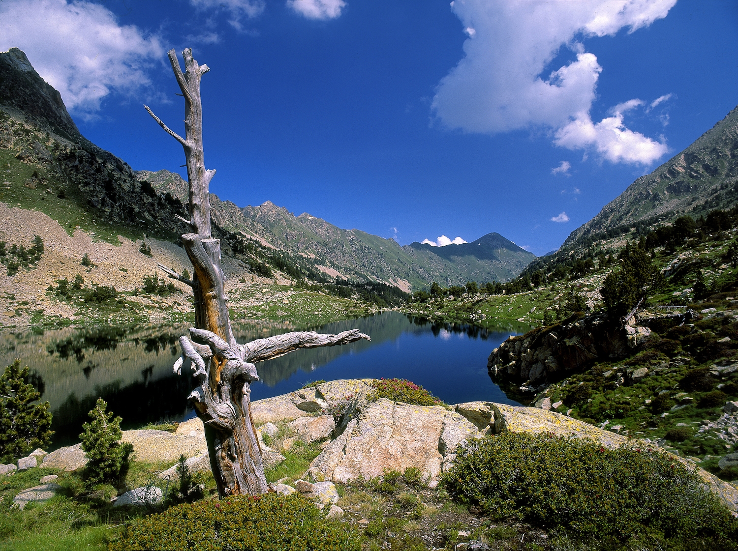 Les gorges de Carançà tenen l'encant únic de la Catalunya Nord