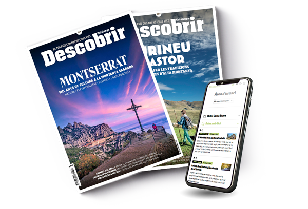 descobrir mixta