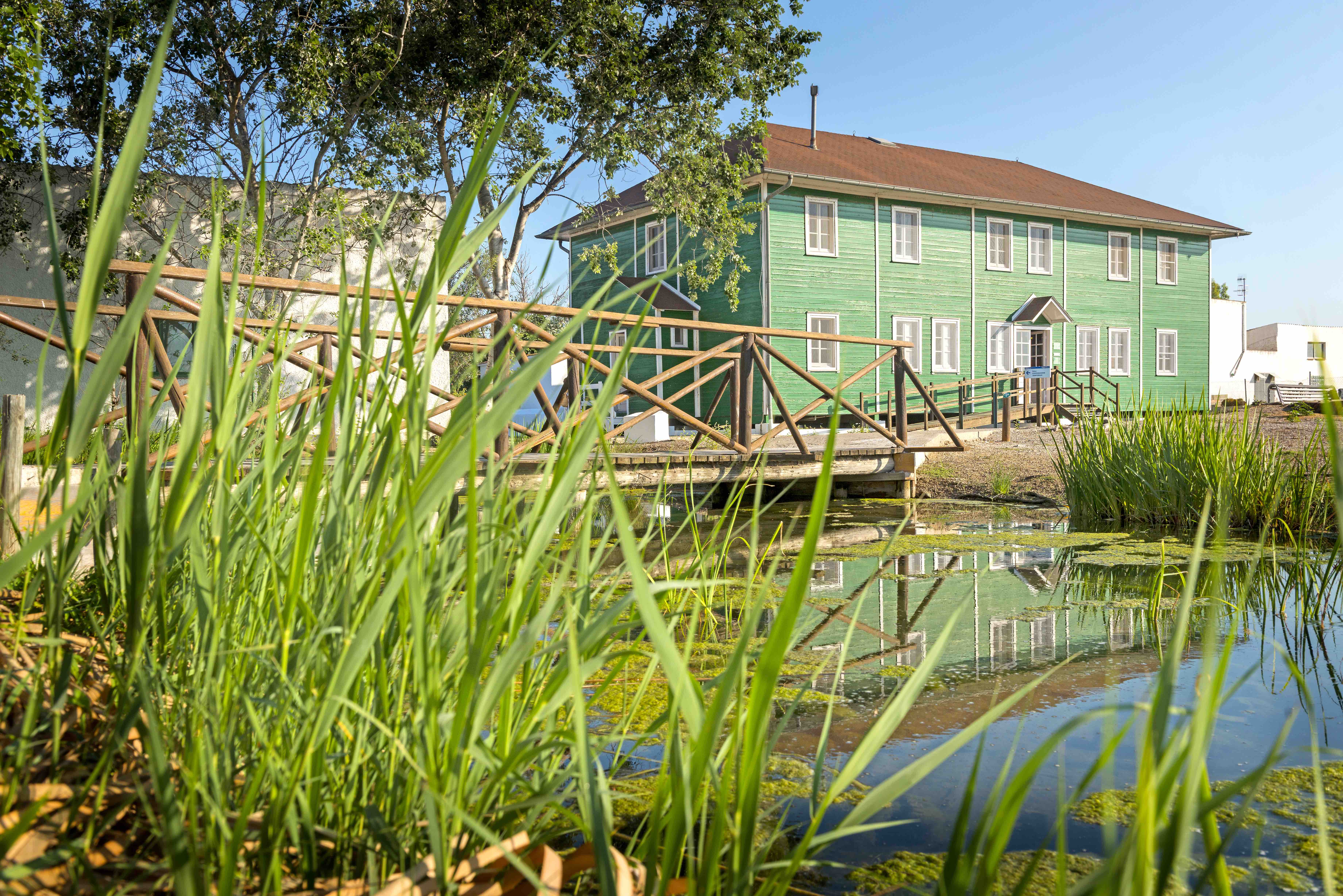 La Casa de Fusta acull el museu ornitològic, que mostra les aus més representatives que habiten al delta de l'Ebre.