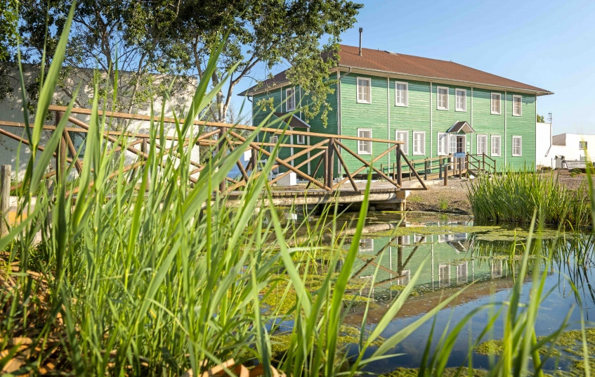 La Casa de Fusta acull el museu ornitològic, que mostra les aus més representatives que habiten al delta de l'Ebre.