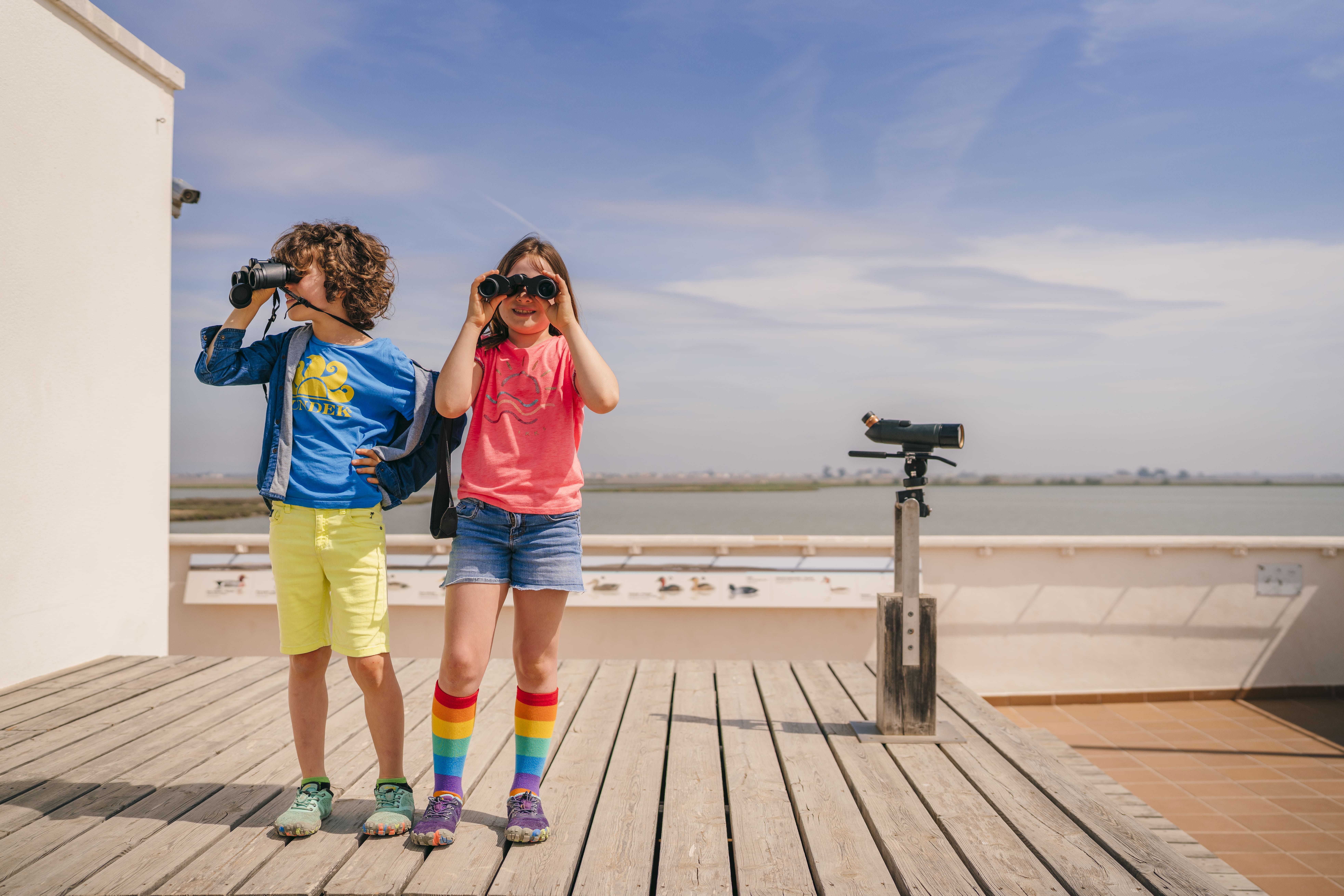 Des del Mirador 360º tindreu unes vistes espectaculars del Delta