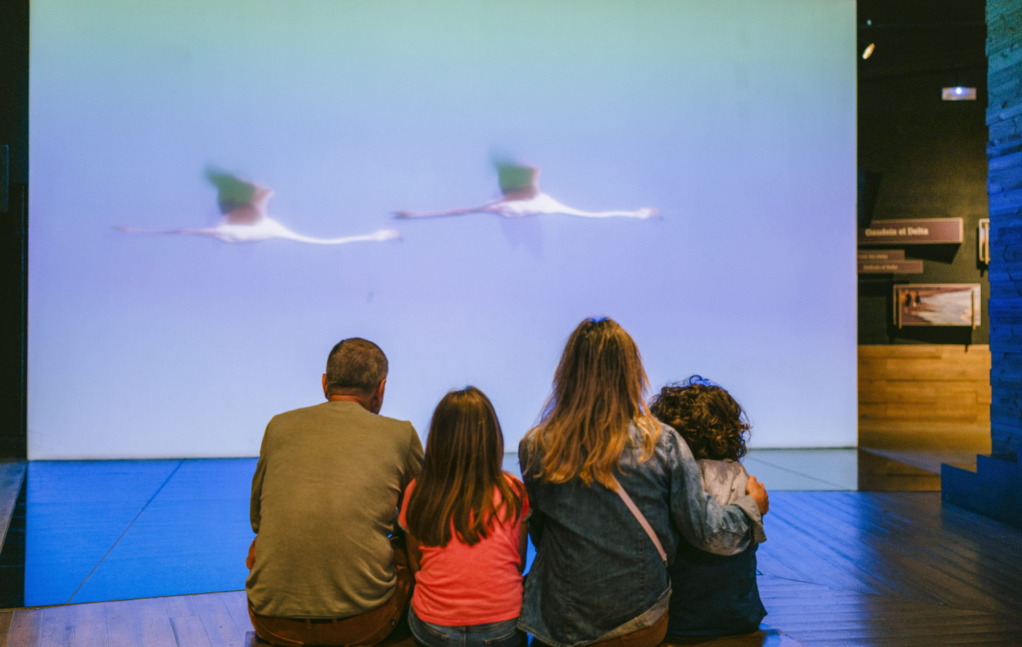 A l'Espai Delta podreu observar l'audiovisual 'Un any al Delta'